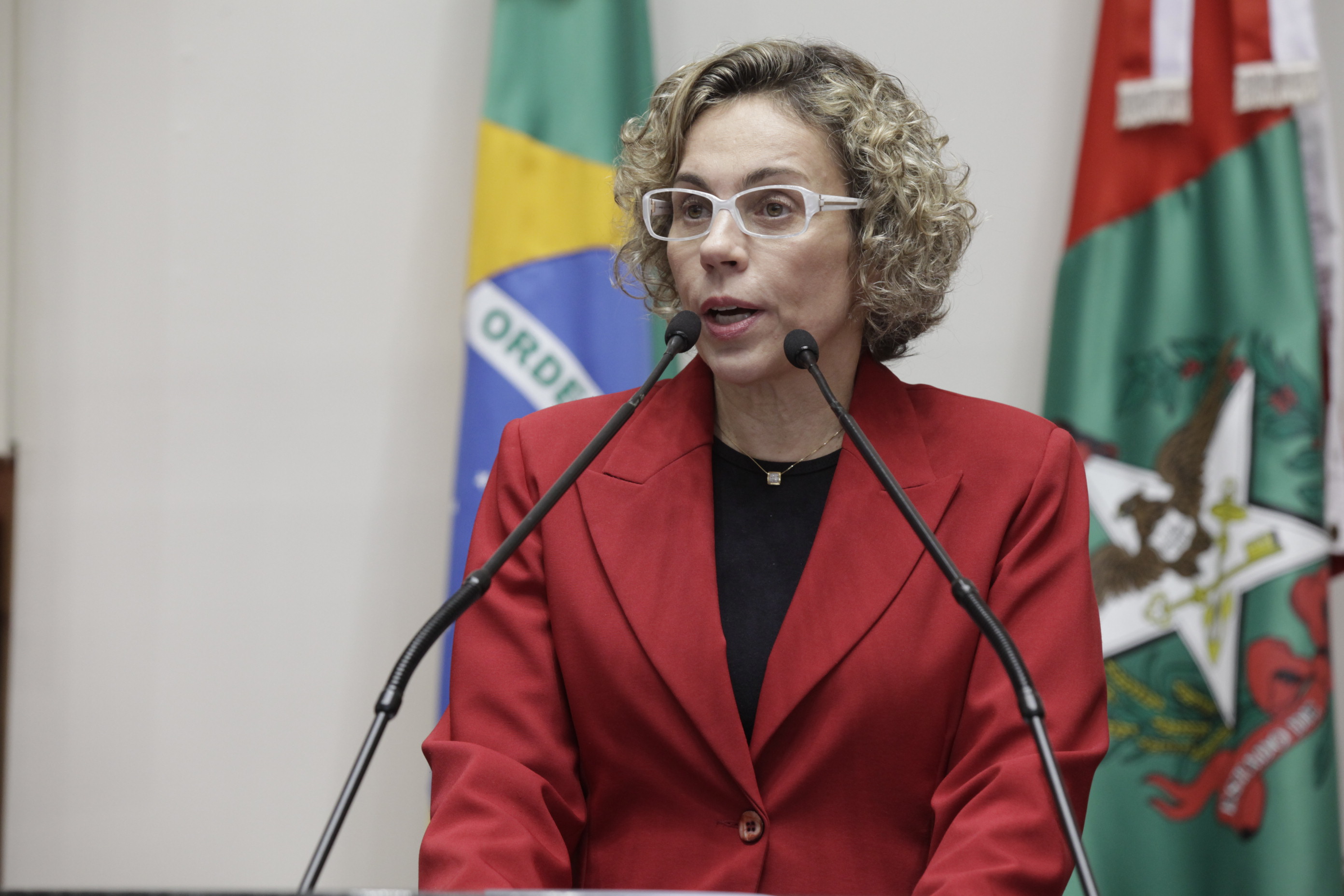 Sessão Ordinária - Plenário Osni Régis - Deputada: Ana Paula Lima (PT) - Foto: Carlos Kilian