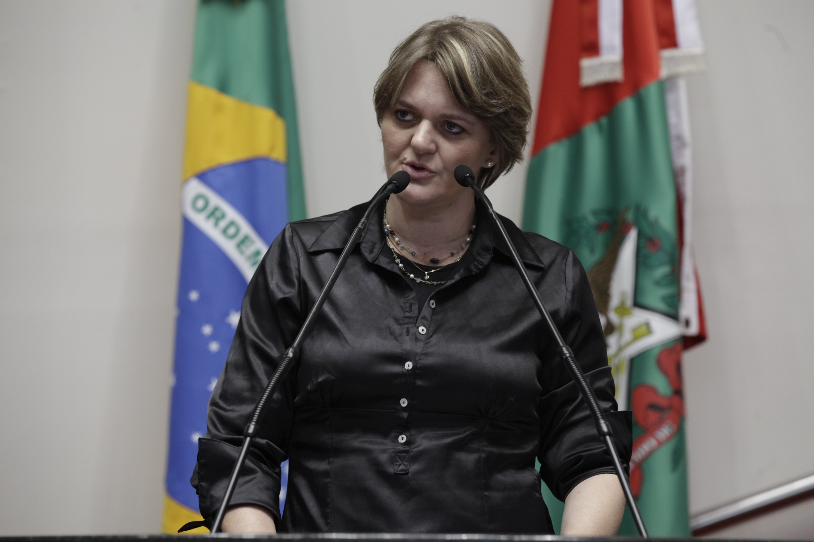 Sessão Ordinária - Plenário Osni Régis - Deputada: Luciane Carminatti (PT) - Foto: Carlos Kilian
