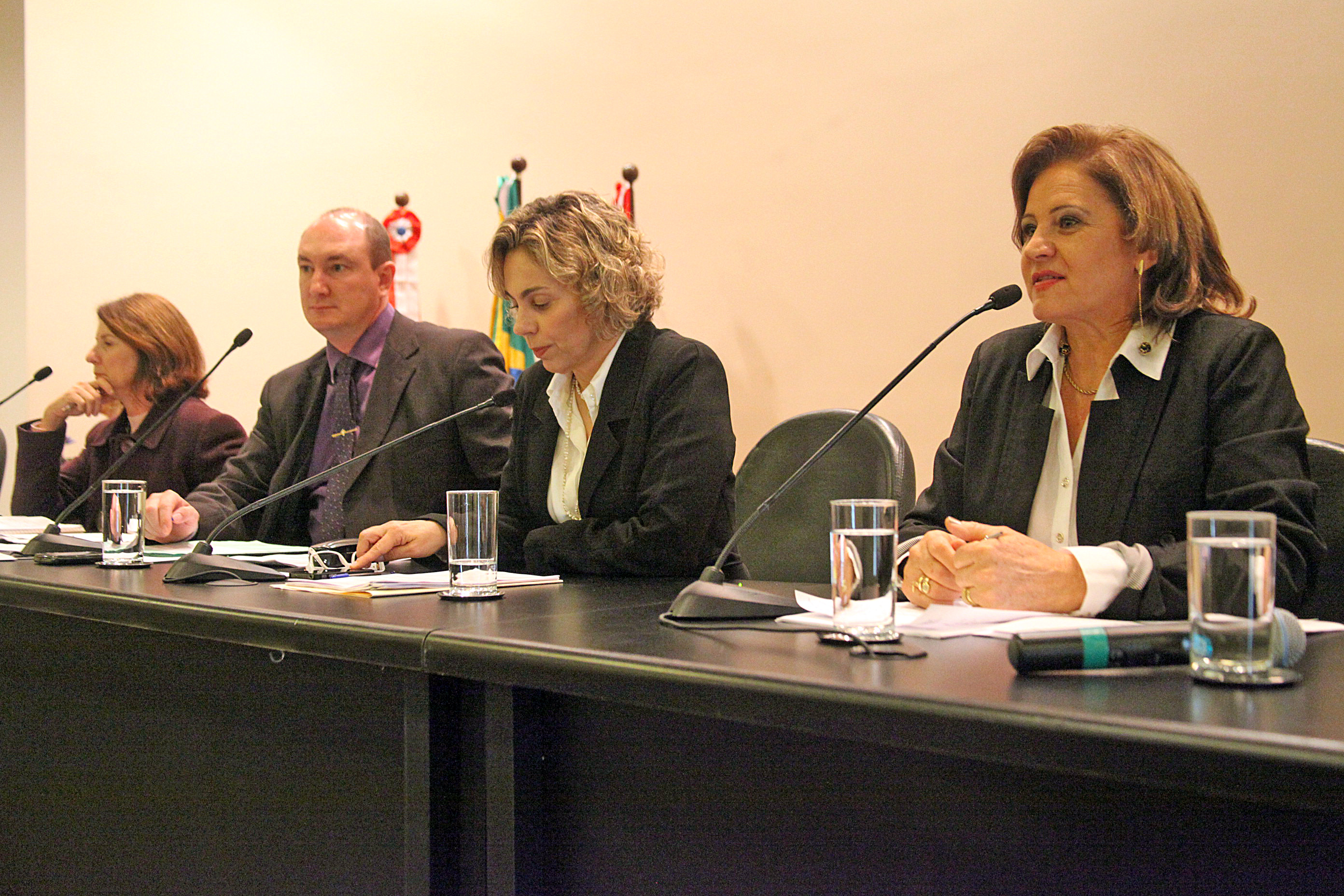 Audiência Pública que debate o processo de escolha dos Diretores de Escola no Estado de Santa Catarina, de que tratam o Projeto de Lei nº 0204.0/2012 e o Projeto de Lei nº 0308.7/2012. Foto: Fábio Queiroz