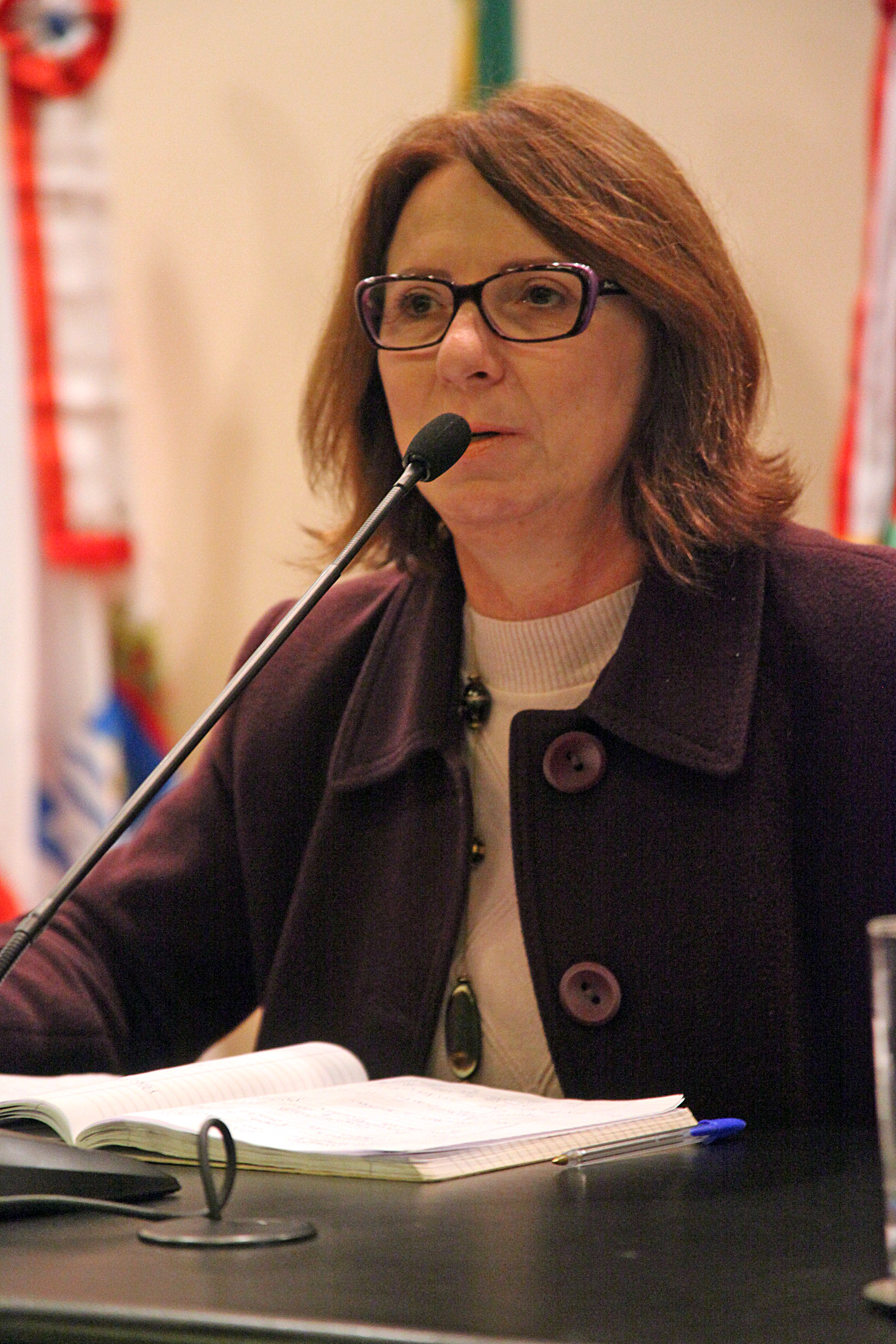 Audiência Pública que debate o processo de escolha dos Diretores de Escola no Estado de Santa Catarina, de que tratam o Projeto de Lei nº 0204.0/2012 e o Projeto de Lei nº 0308.7/2012. Foto: Fábio Queiroz