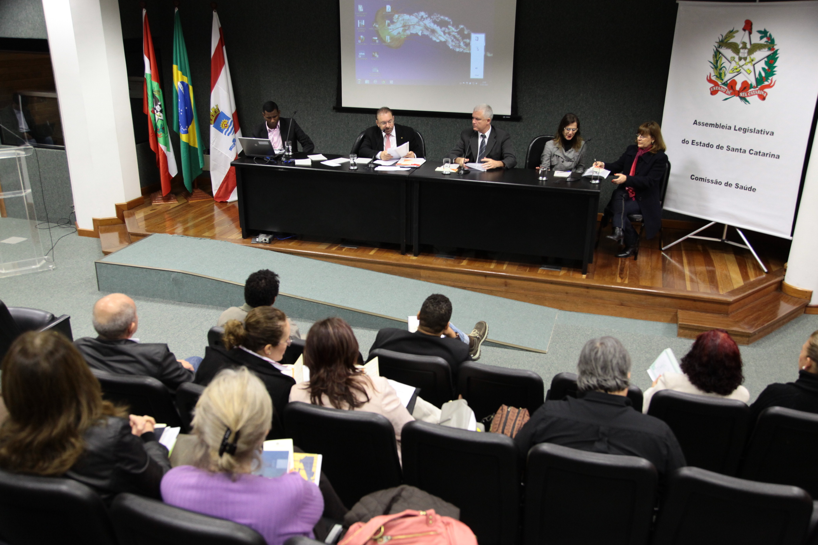 Reunião da Comissão de Saúde. Foto: Miriam Zomer