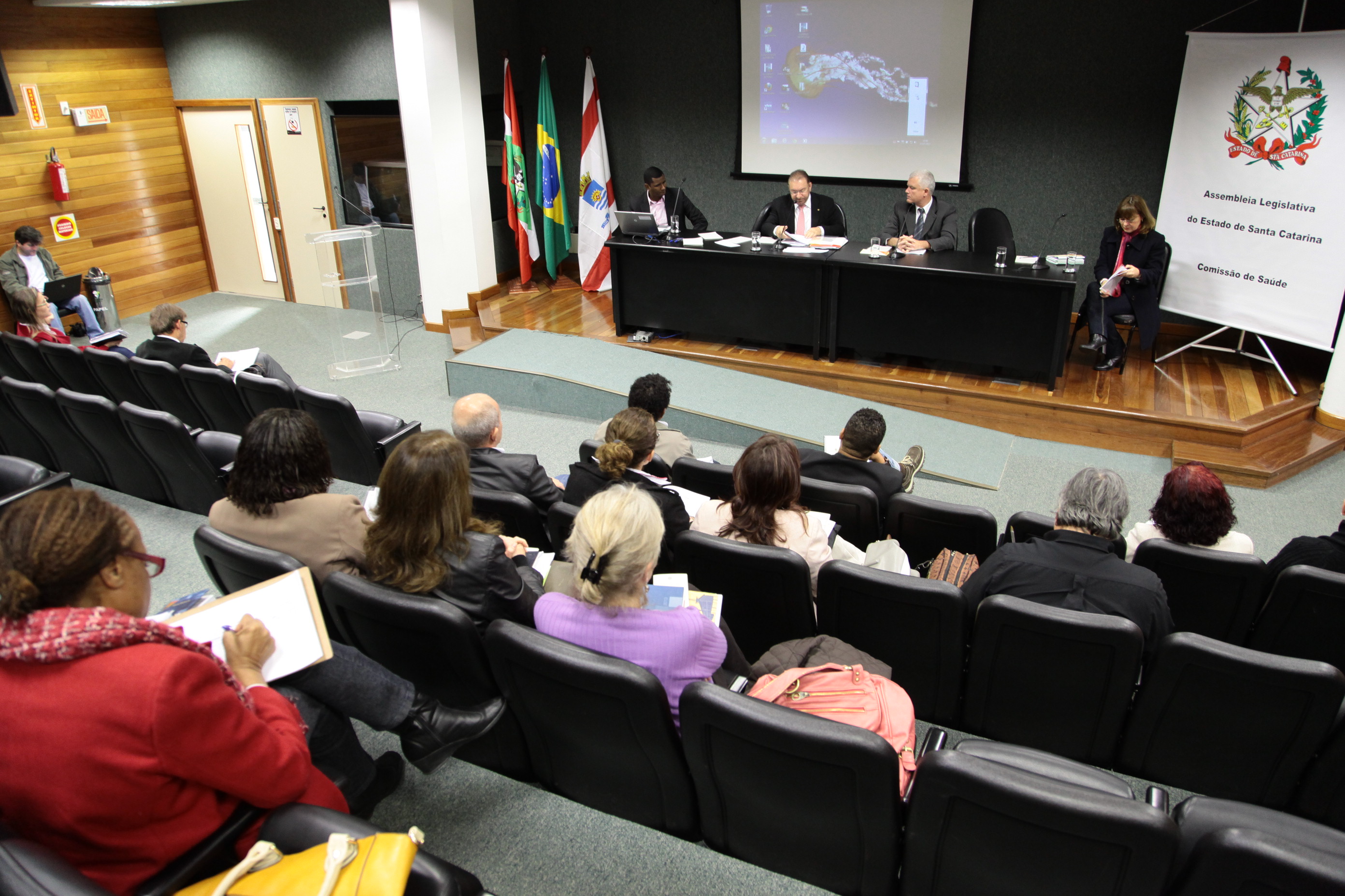 Reunião da Comissão de Saúde. Foto: Miriam Zomer