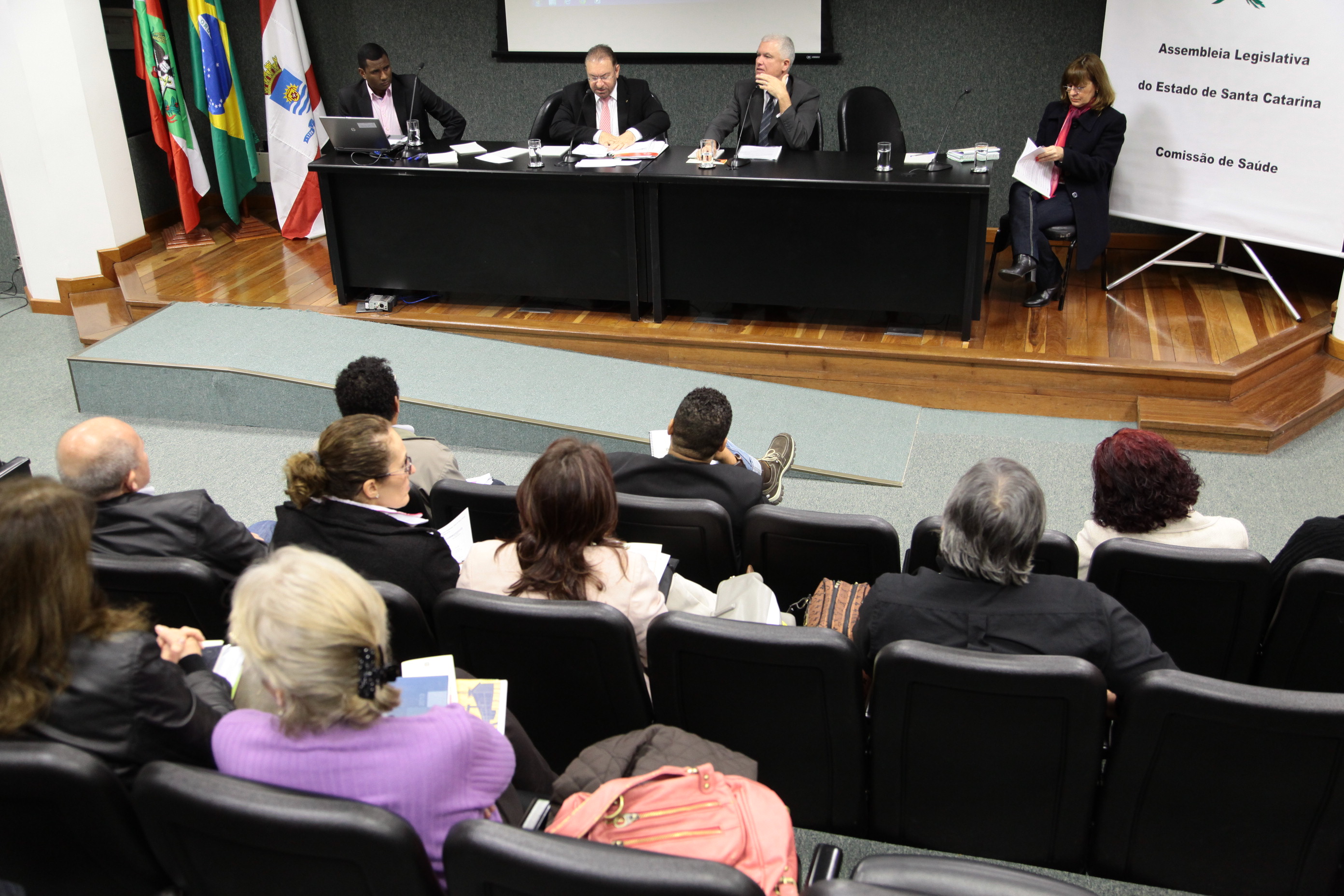 Reunião da Comissão de Saúde. Foto: Miriam Zomer
