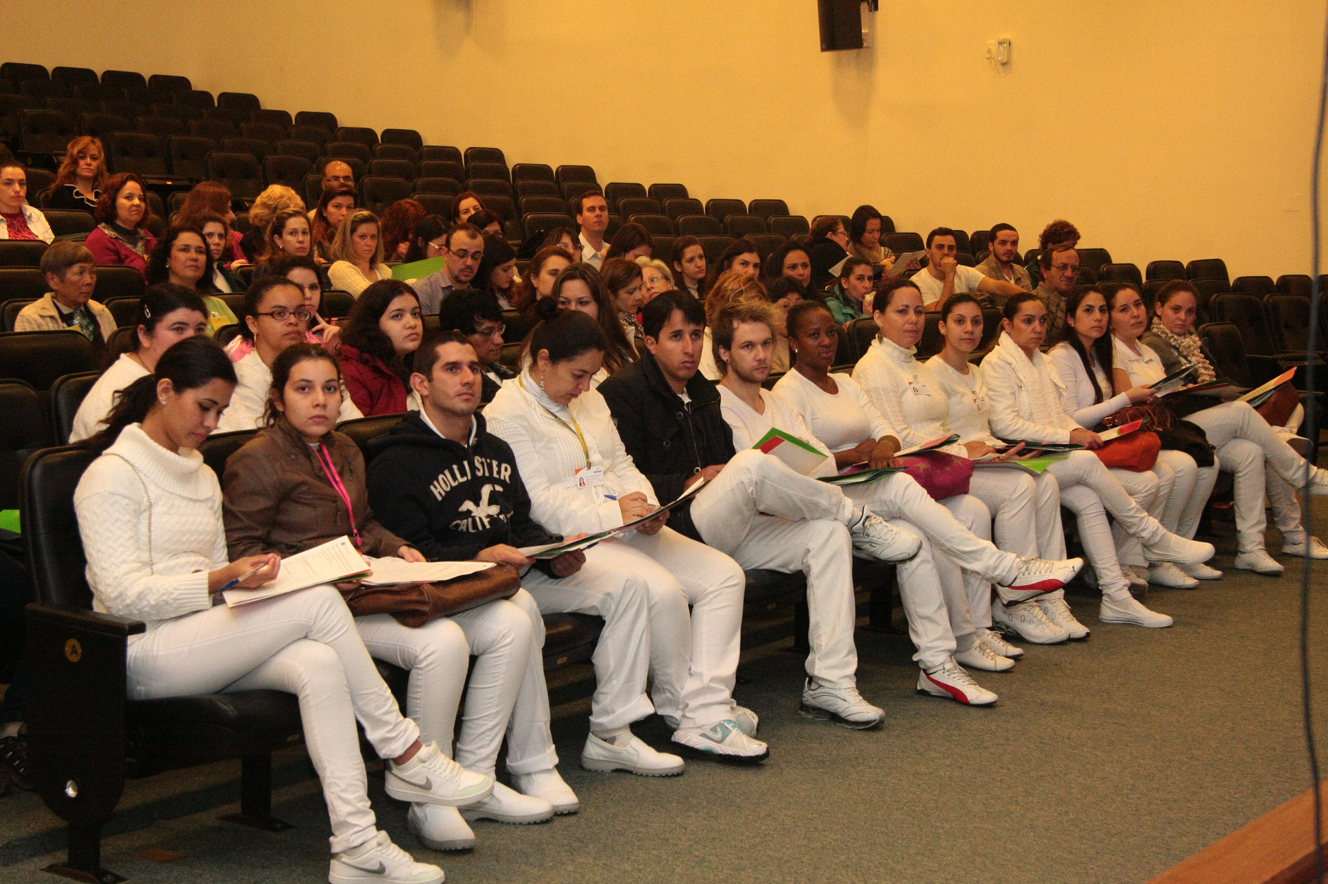 II Seminário de Práticas Integrativas e Complementares no SUS da Região Sul