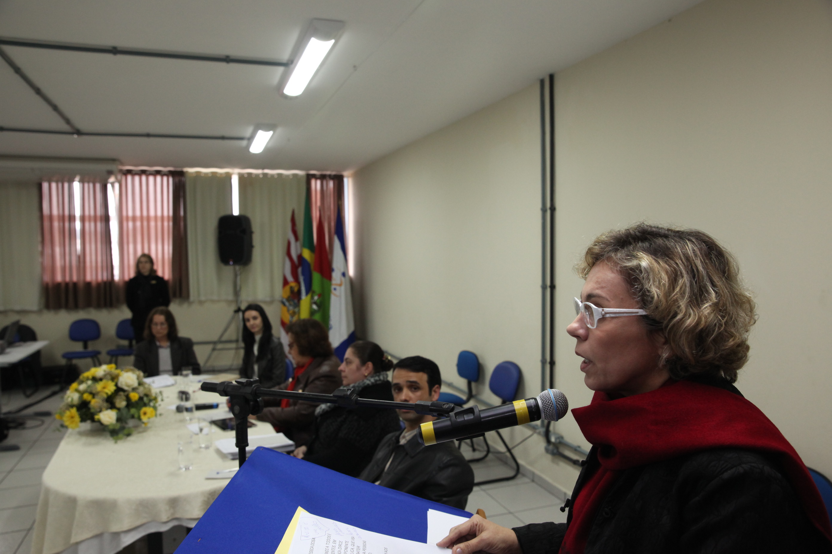 Audiência Pública sobre os direitos dos Idosos - Blumenau. Foto: Alberto Neves