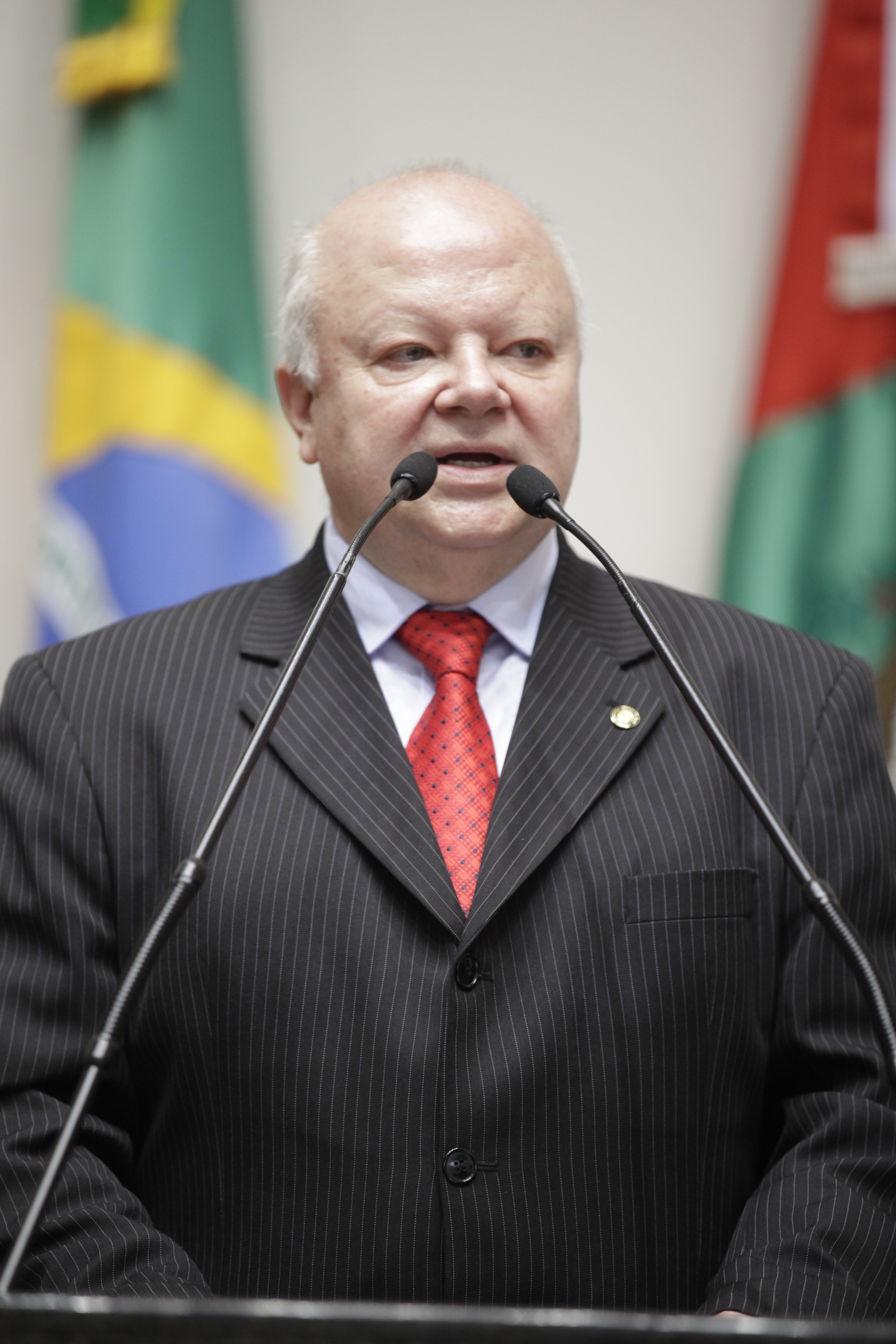 Sessão Ordinária - Plenário Osni Régis - Deputado: Renato Hinning (PMDB) - Foto: Carlos Killian