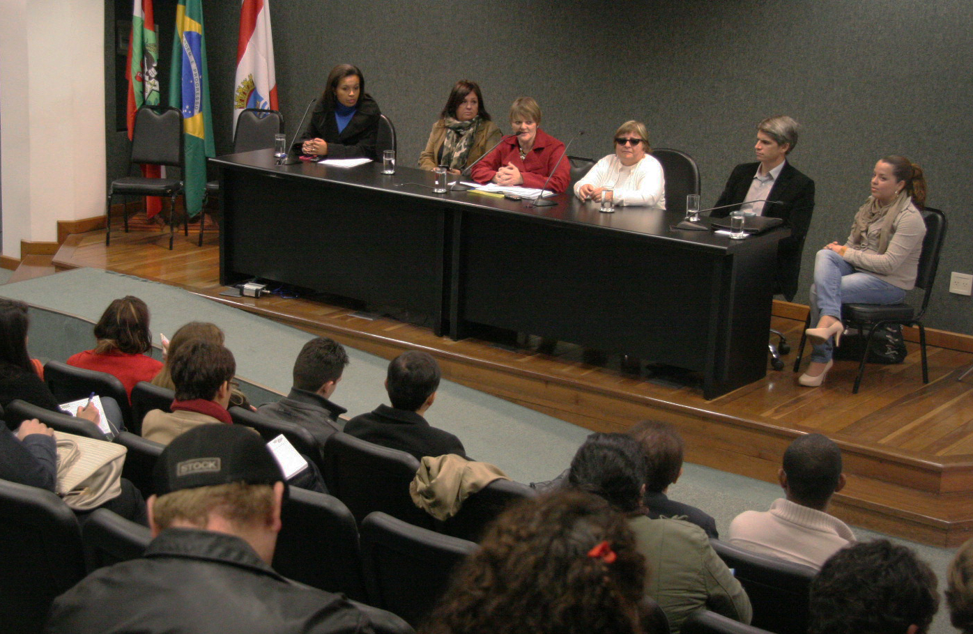 Comissão de Direitos e Garantias Fundamentais de Amparo à Família e à Mulher. Foto: Jessica Genevro
