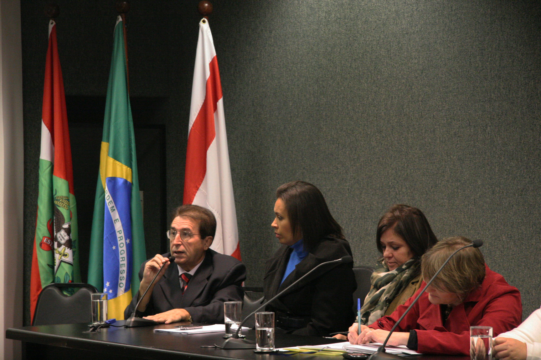 Comissão de Direitos e Garantias Fundamentais de Amparo à Família e à Mulher. Foto: Jessica Genevro