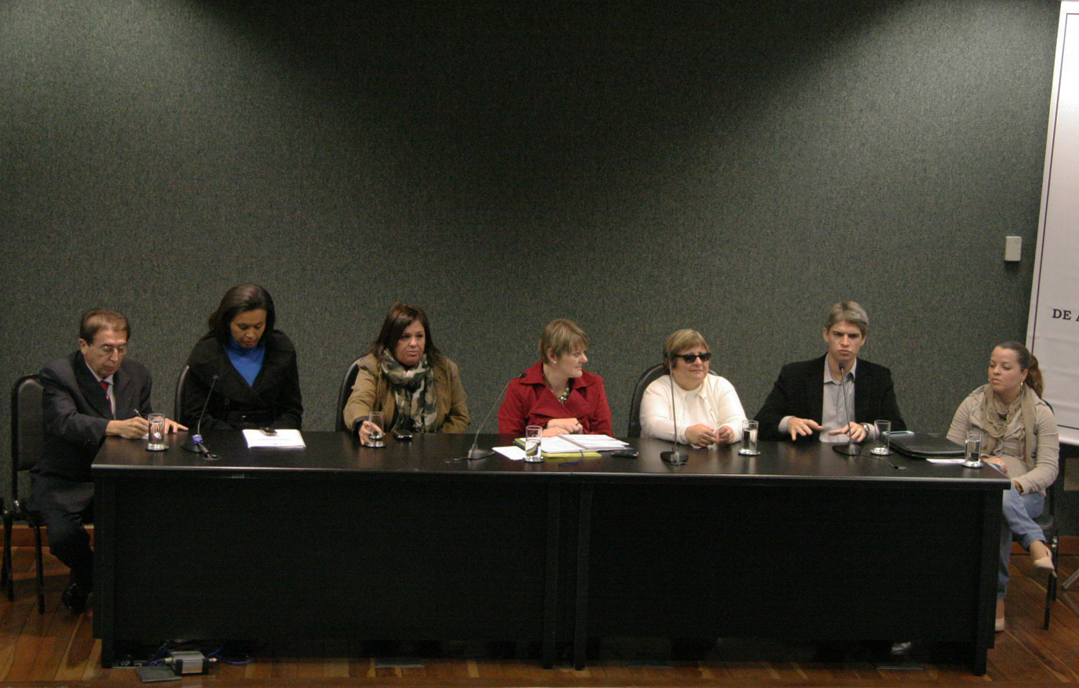 Comissão de Direitos e Garantias Fundamentais de Amparo à Família e à Mulher. Foto: Jessica Genevro
