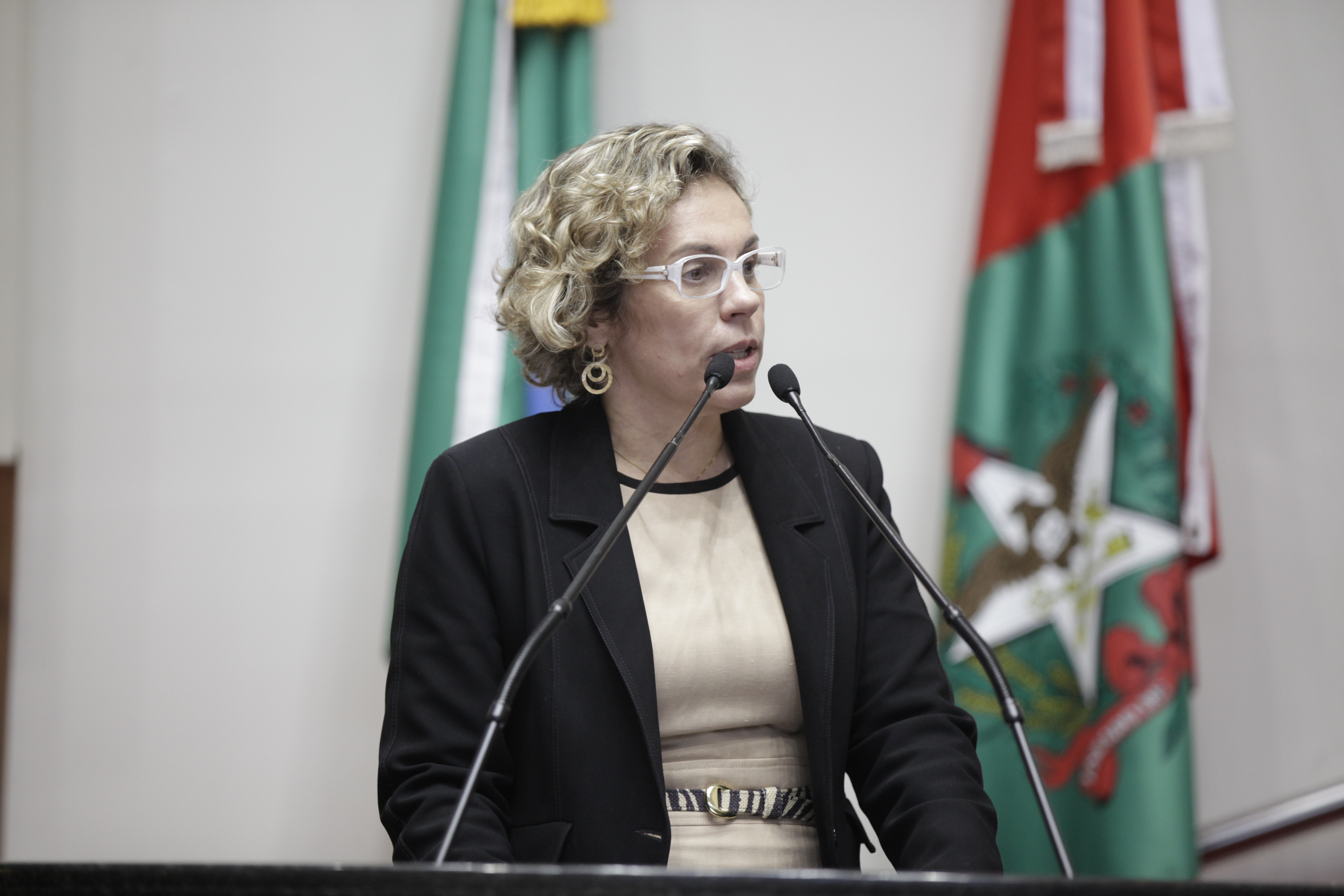 Sessão Ordinária - Plenário Osni Régis. Deputada Ana Paula Lima (PT).  Foto: Carlos Kilian