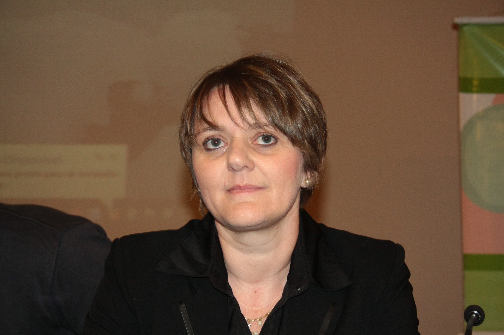 Dep. Luciane Carminatti - Foto:  Eduardo Guedes de Oliveira