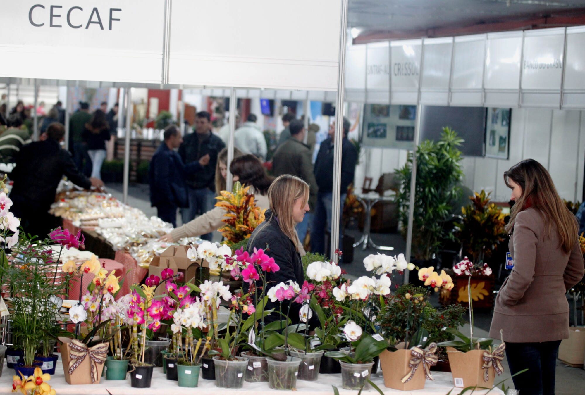 Expo Concórdia: Mostra da Agricultura Familiar reúne 23 cooperativas