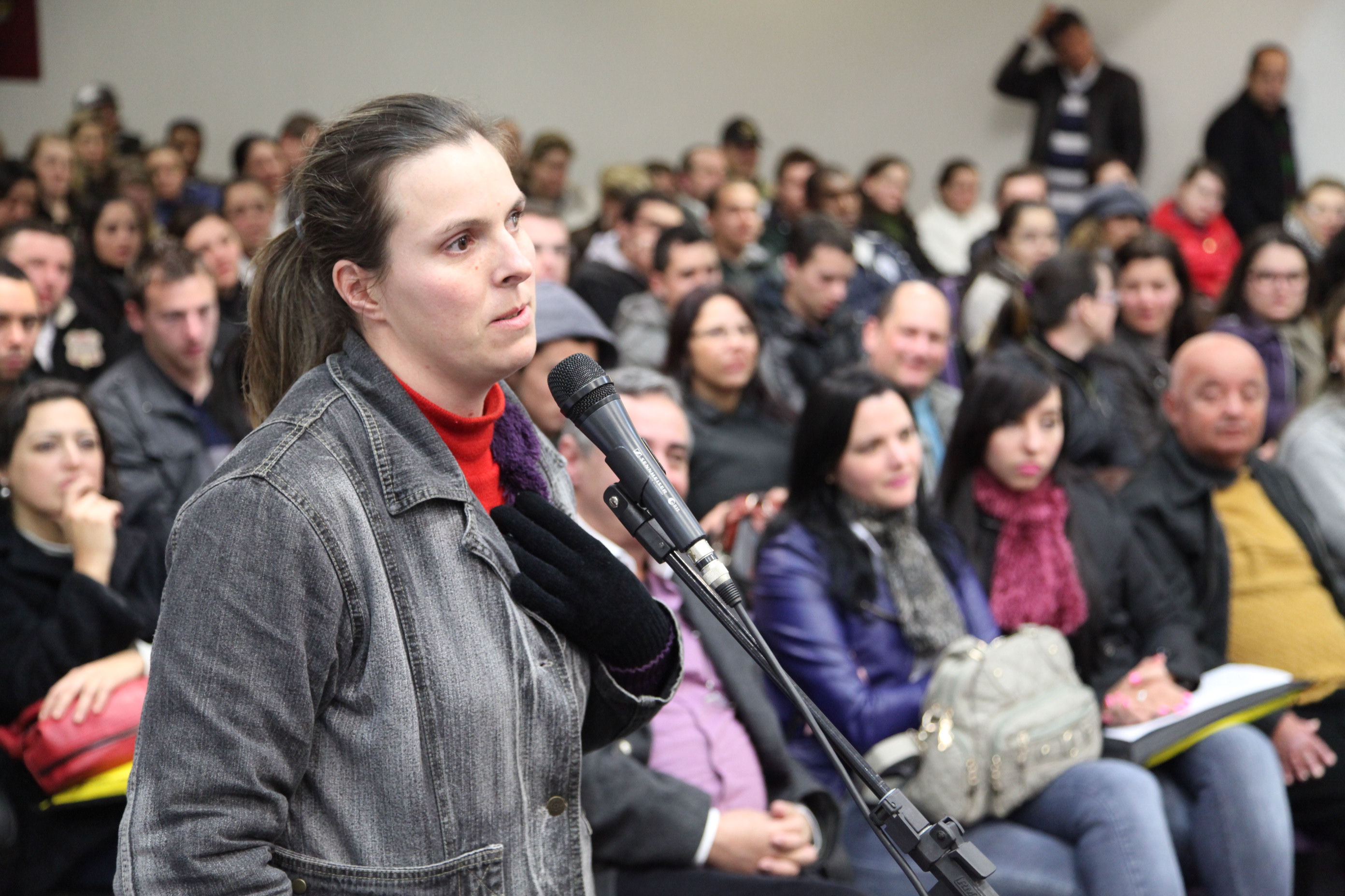 Luciane Reinert - Audiência Pública da Comissão de Educação em Joinville - Artigo 170