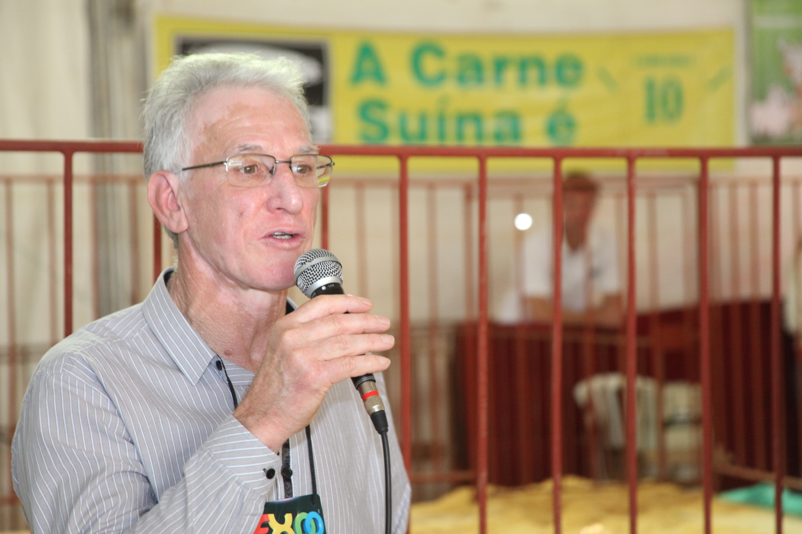 Leilão de suínos na Expo Concórdia. Foto: Fábio Queiroz