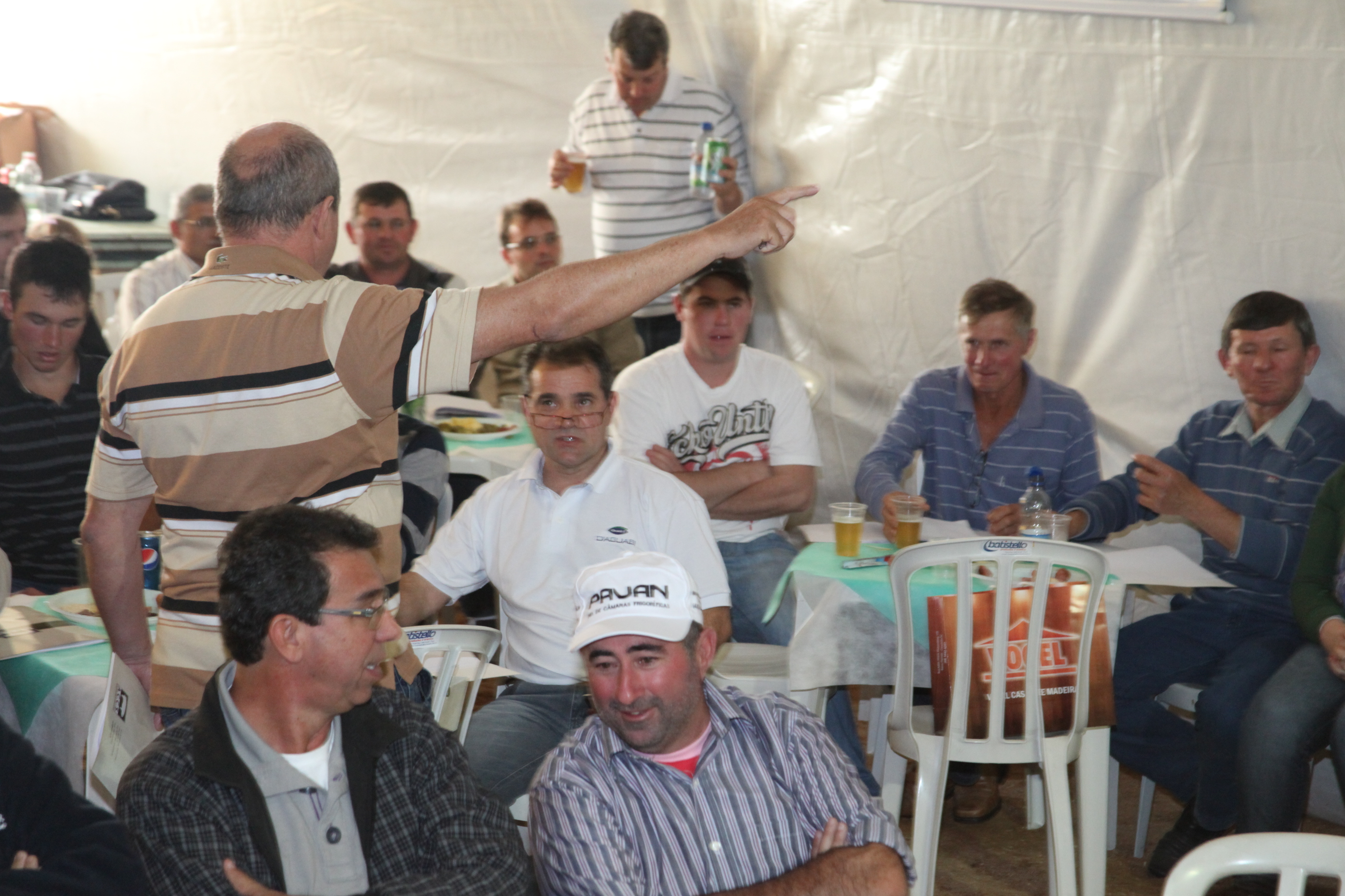 Leilão de suínos na Expo Concórdia. Foto: Fábio Queiroz