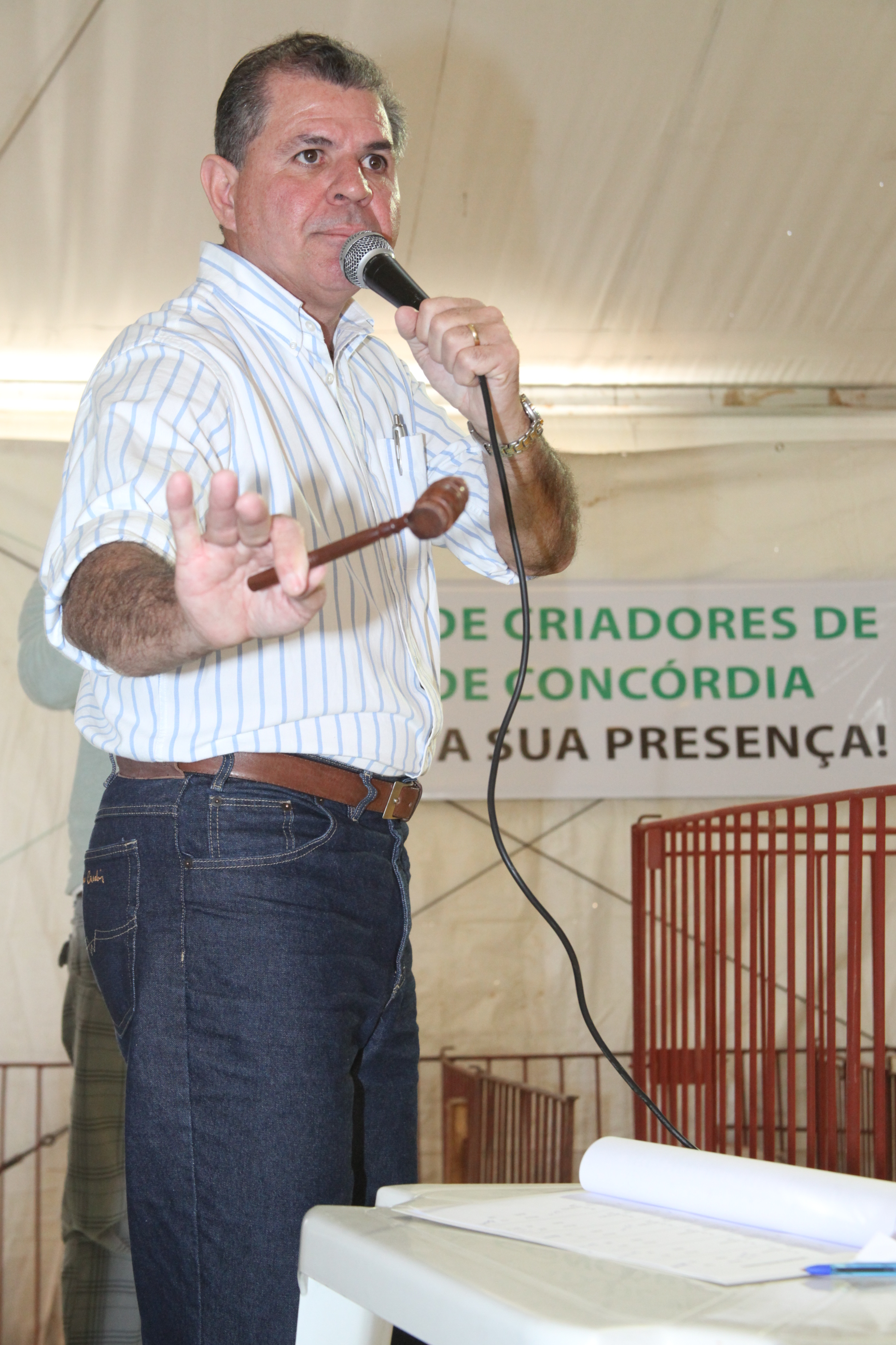 Leilão de suínos na Expo Concórdia. Foto: Fábio Queiroz