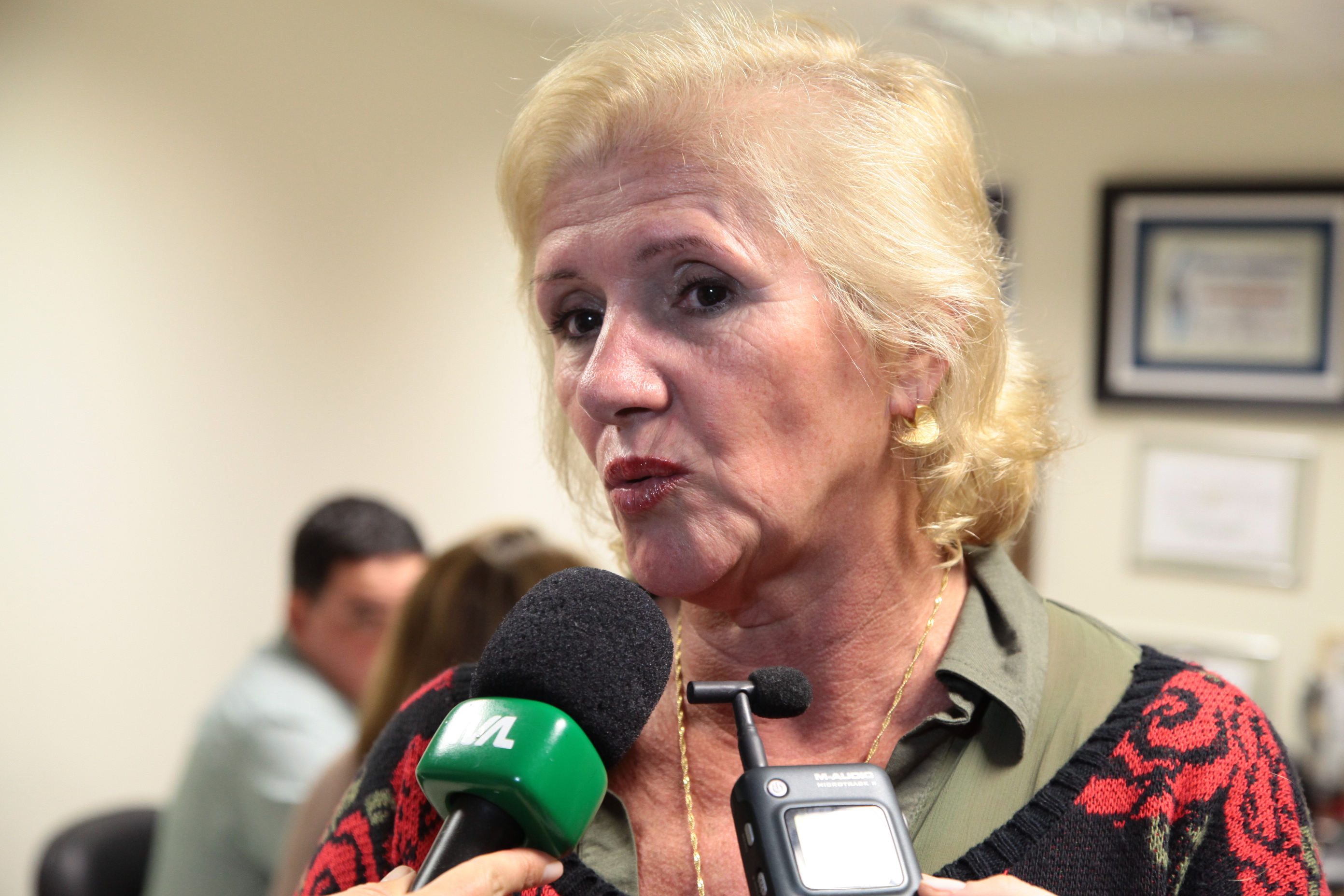Reunião da Comissão de Defesa dos Direitos da Pessoa com Deficiência. Maria Nilza Eckel.  Foto: Miriam Zomer