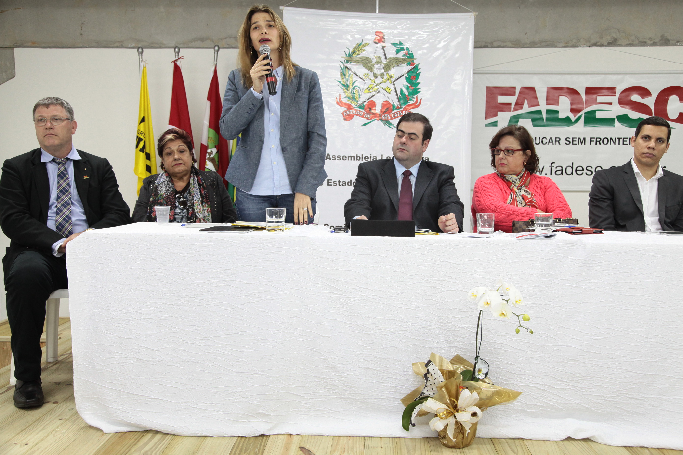 Audiência Pública da Comissão de Educação no município de Palhoça. Foto: Miriam Zomer