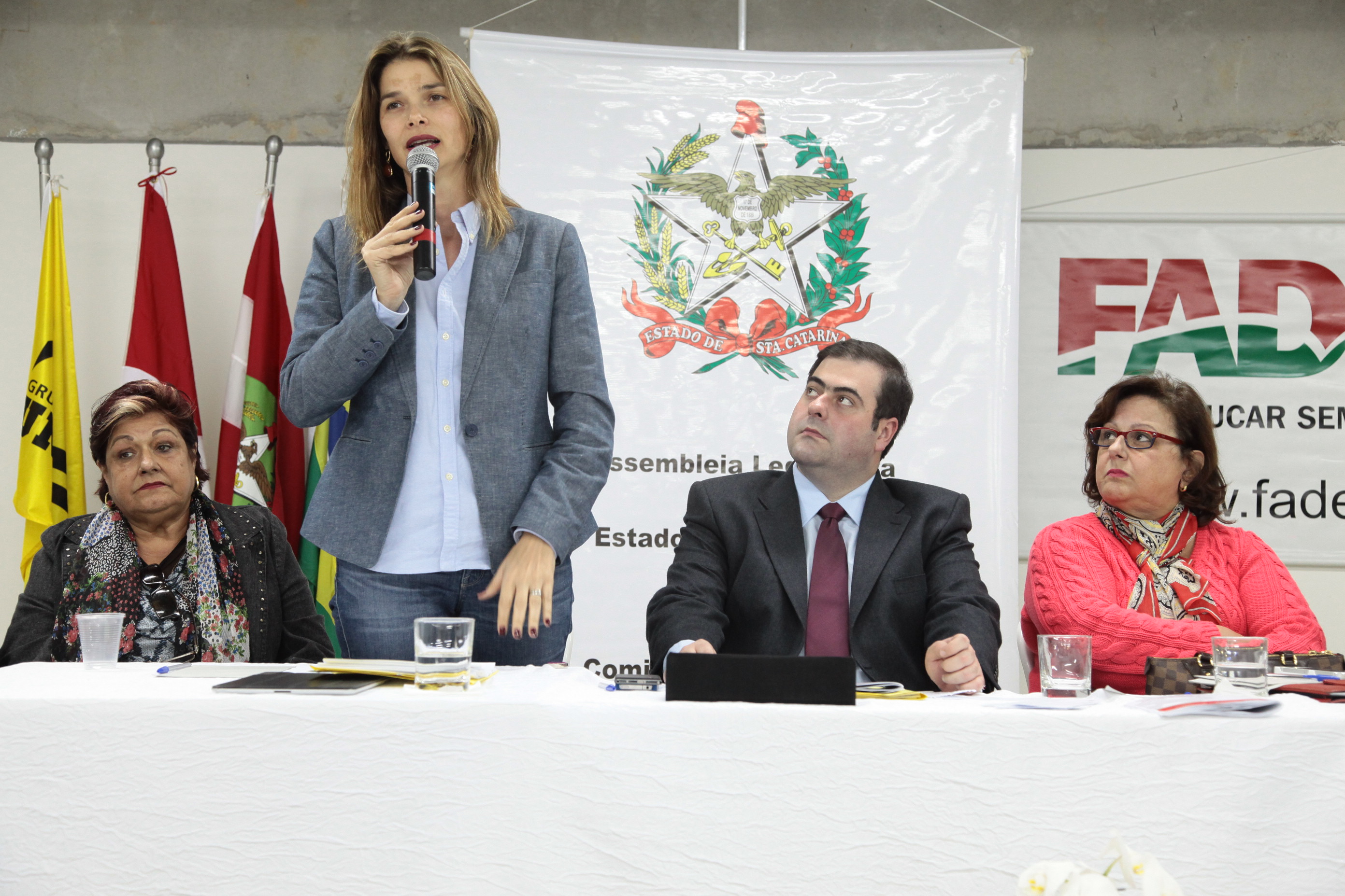 Audiência Pública da Comissão de Educação no município de Palhoça. Foto: Miriam Zomer