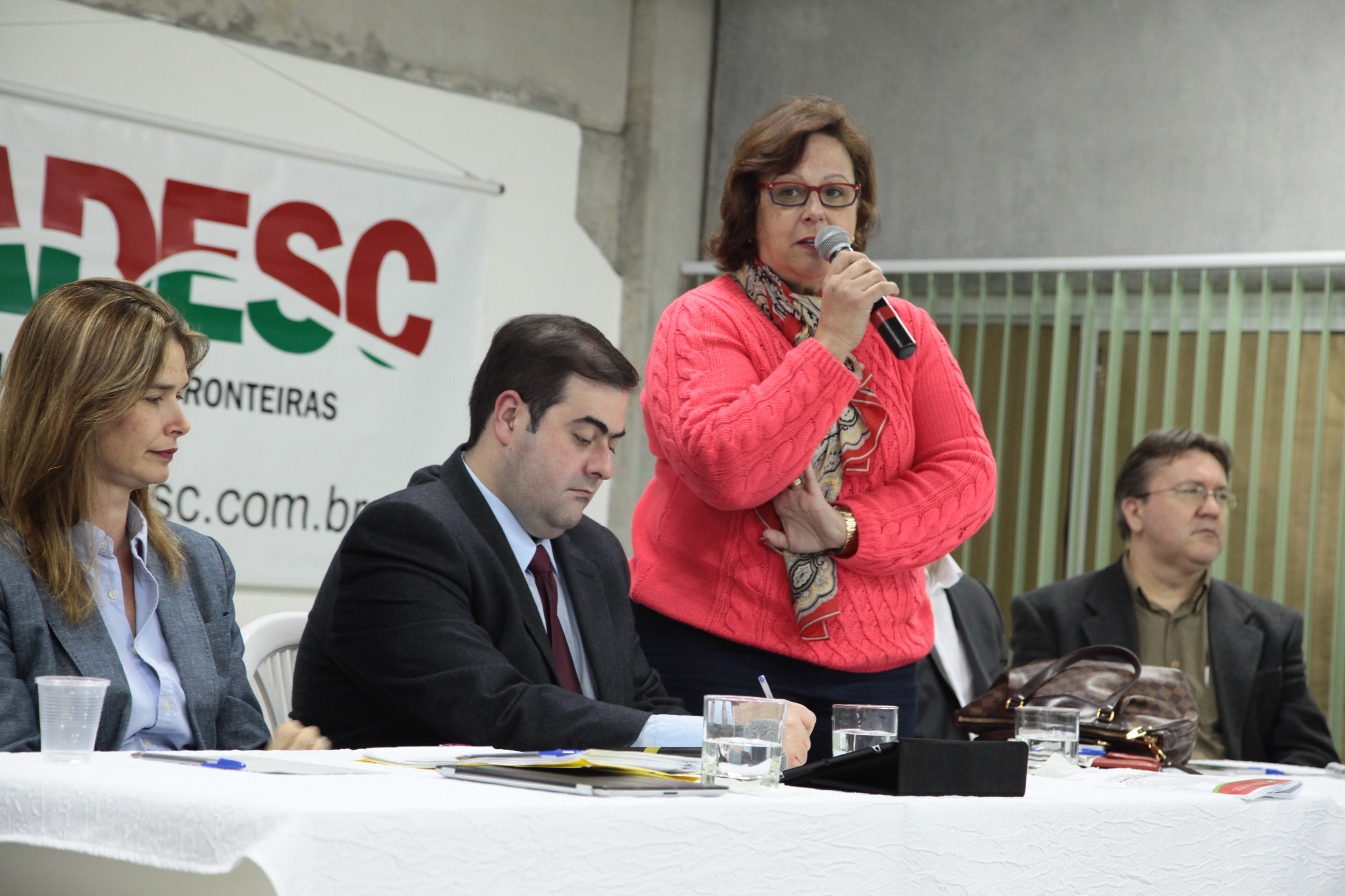 Audiência Pública da Comissão de Educação no município de Palhoça. Foto: Miriam Zomer