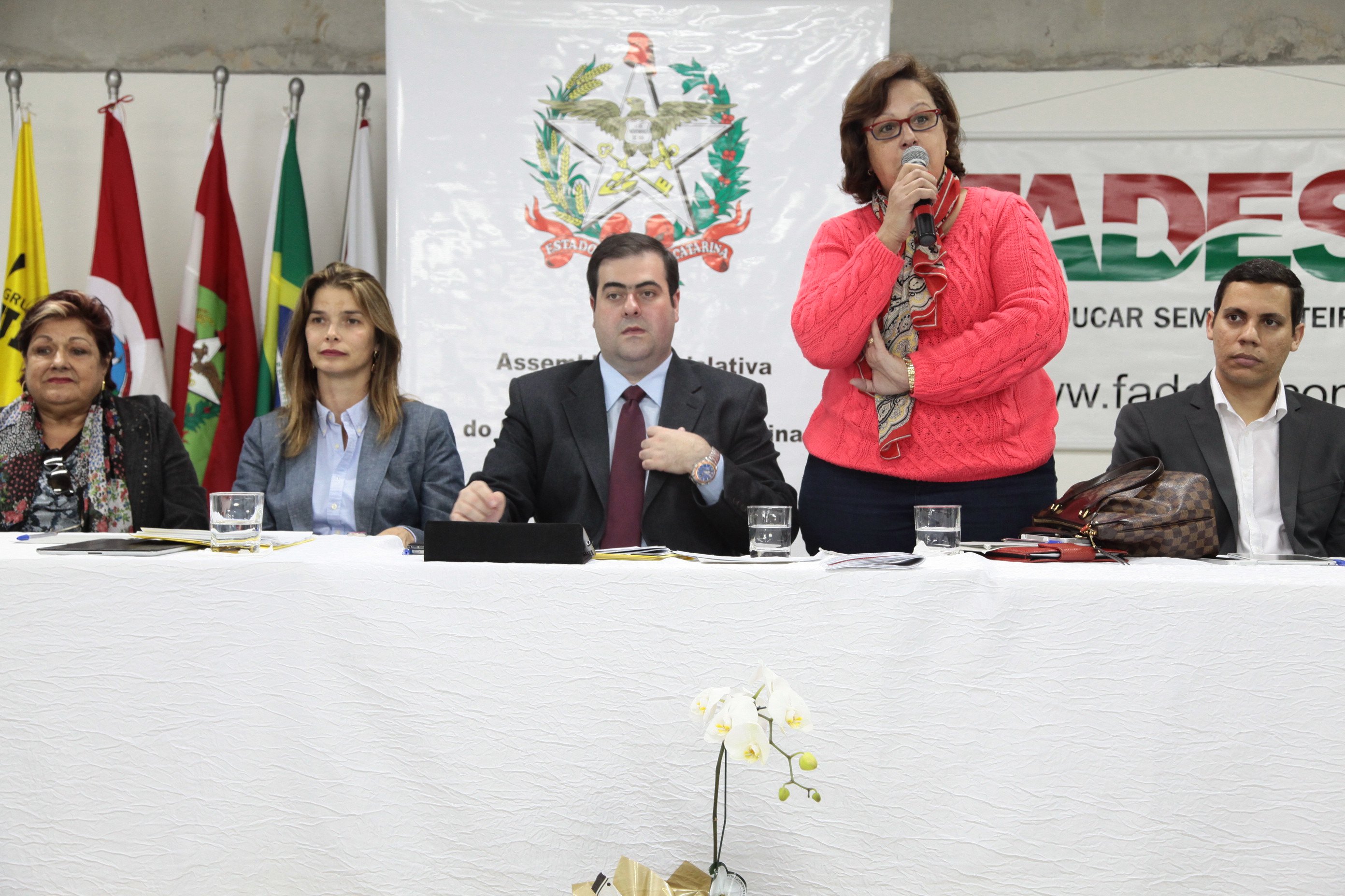 Audiência Pública da Comissão de Educação no município de Palhoça. Foto: Miriam Zomer