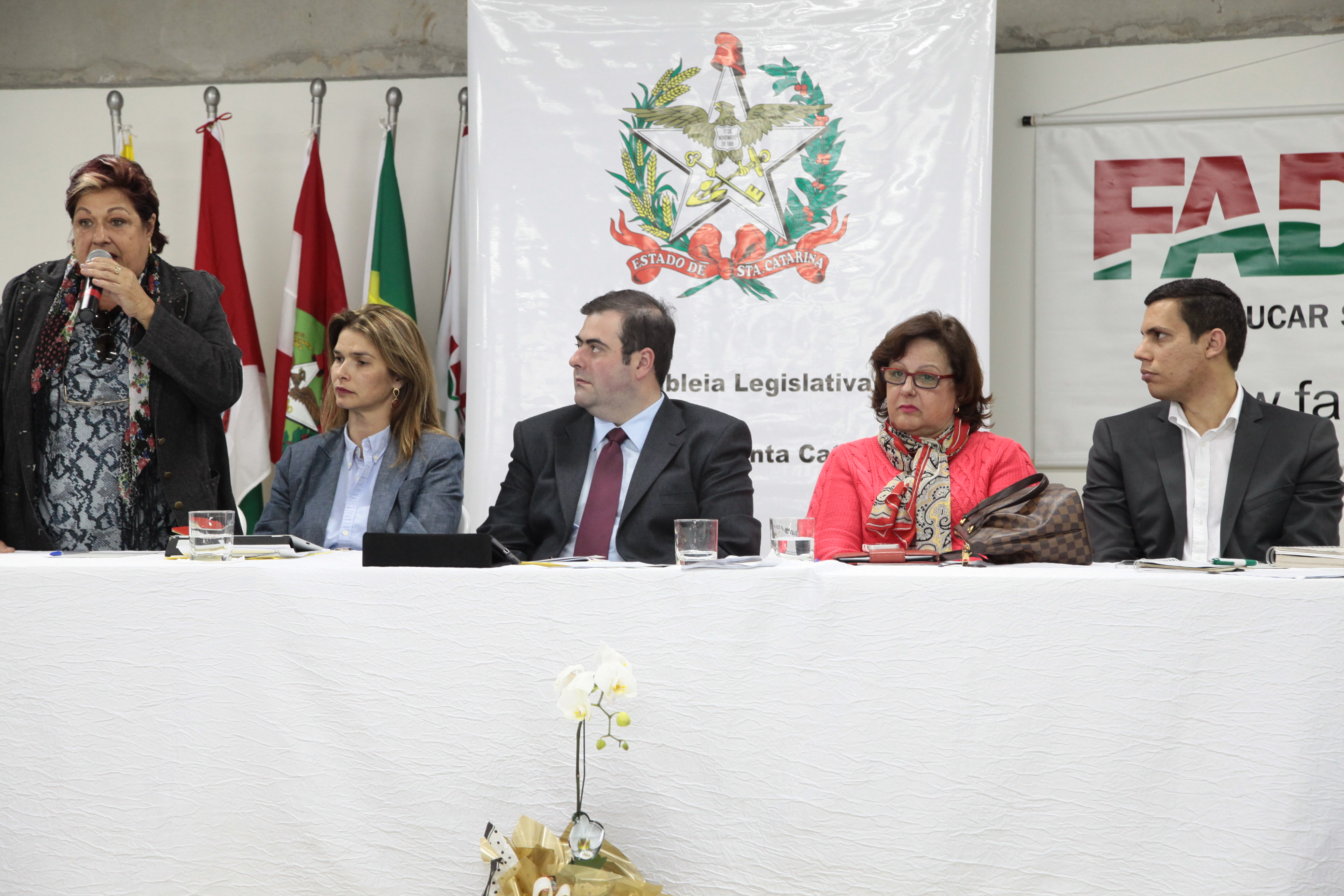 Audiência Pública da Comissão de Educação no município de Palhoça. Foto: Miriam Zomer