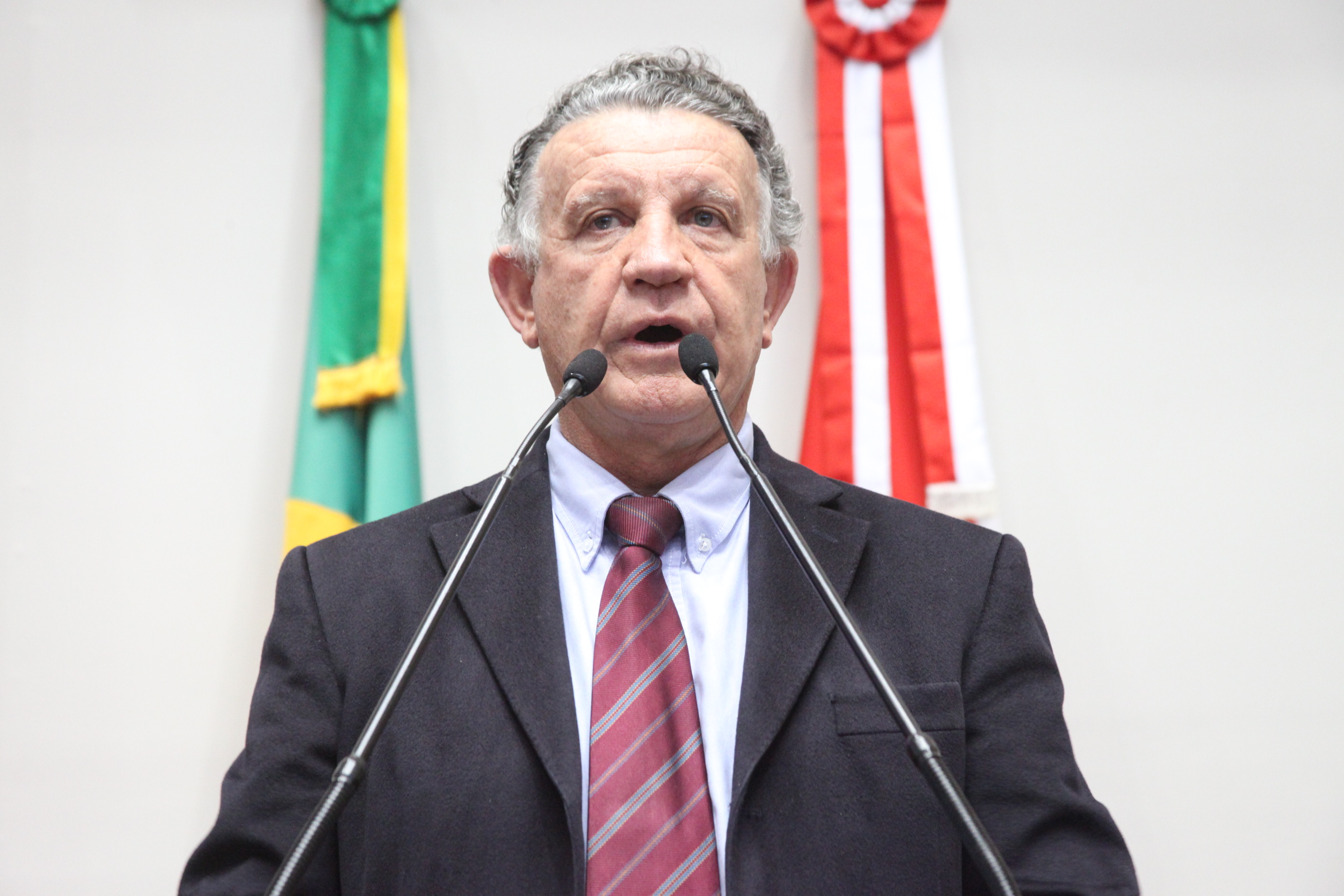Sessão Ordinária. Foto: Fábio Queiroz
