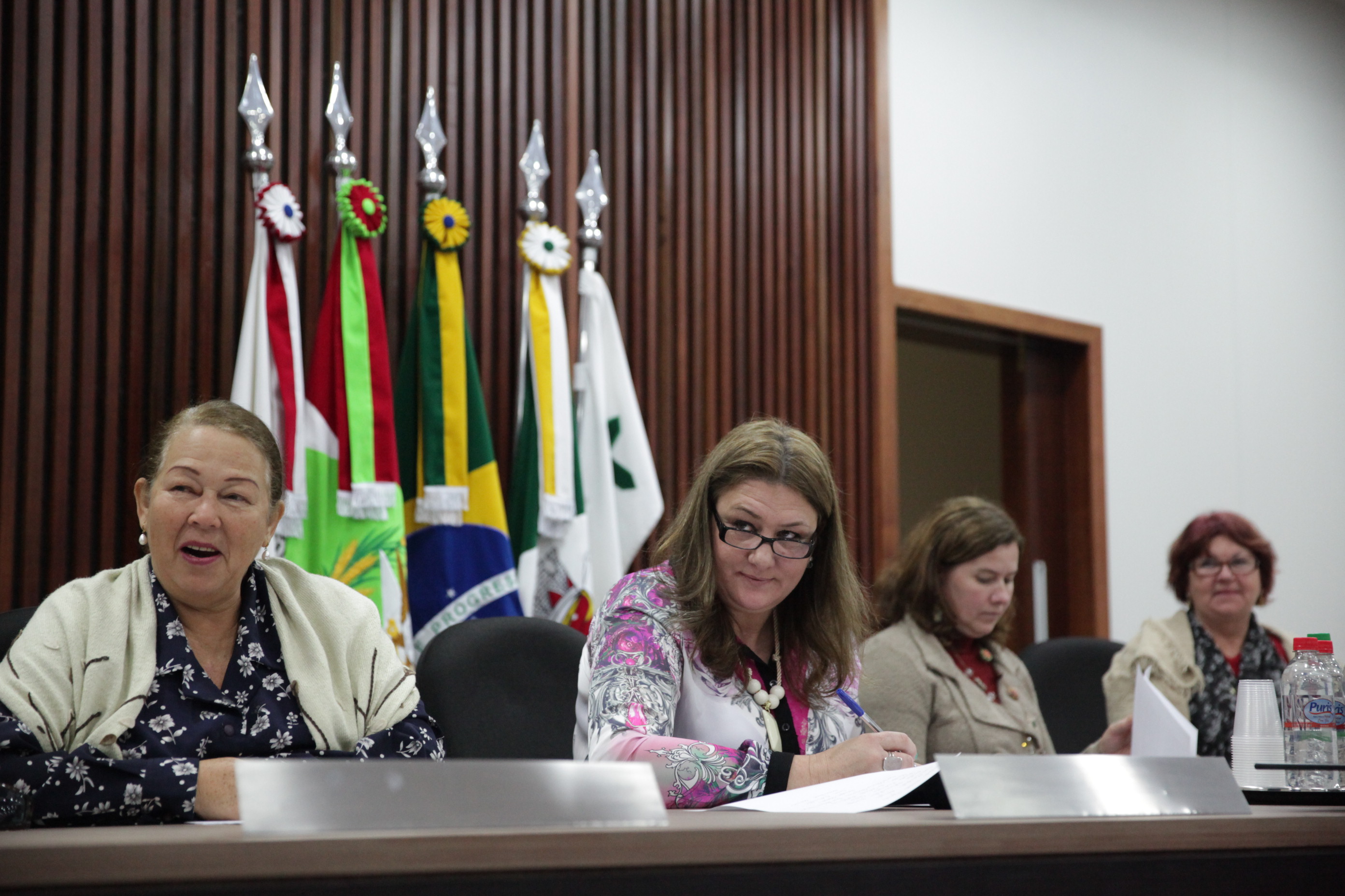 Criação da Associação Catarinense de Autismo (ASCA) - Foto: Lucas Gabriel Diniz