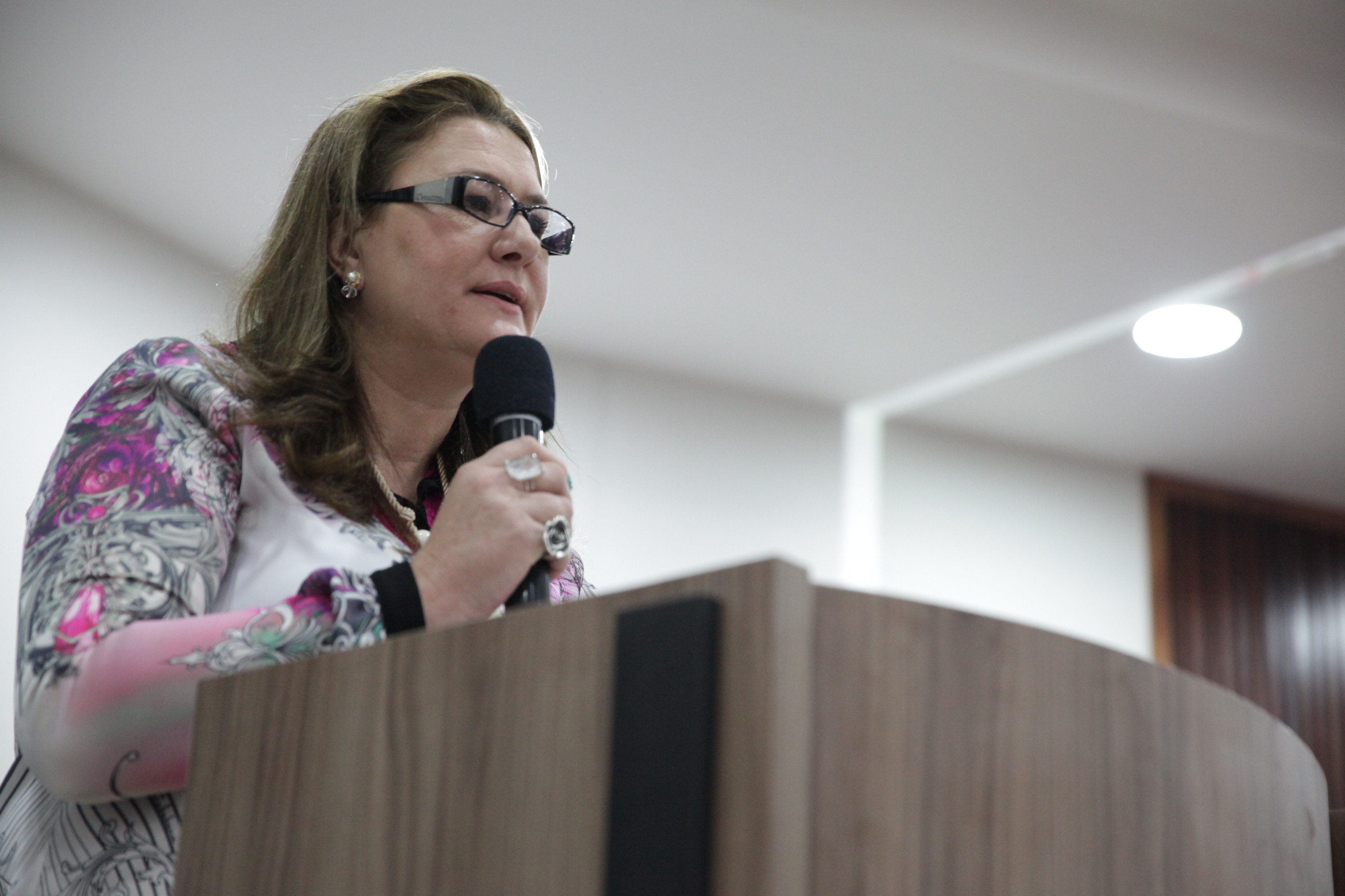 Criação da Associação Catarinense de Autismo (ASCA) - Foto: Lucas Gabriel Diniz
