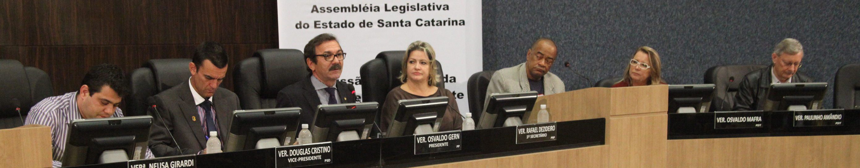 Comissão de Defesa dos Direitos da Criança e do Adolescente promove em Itajaí audiência pública com o tema 