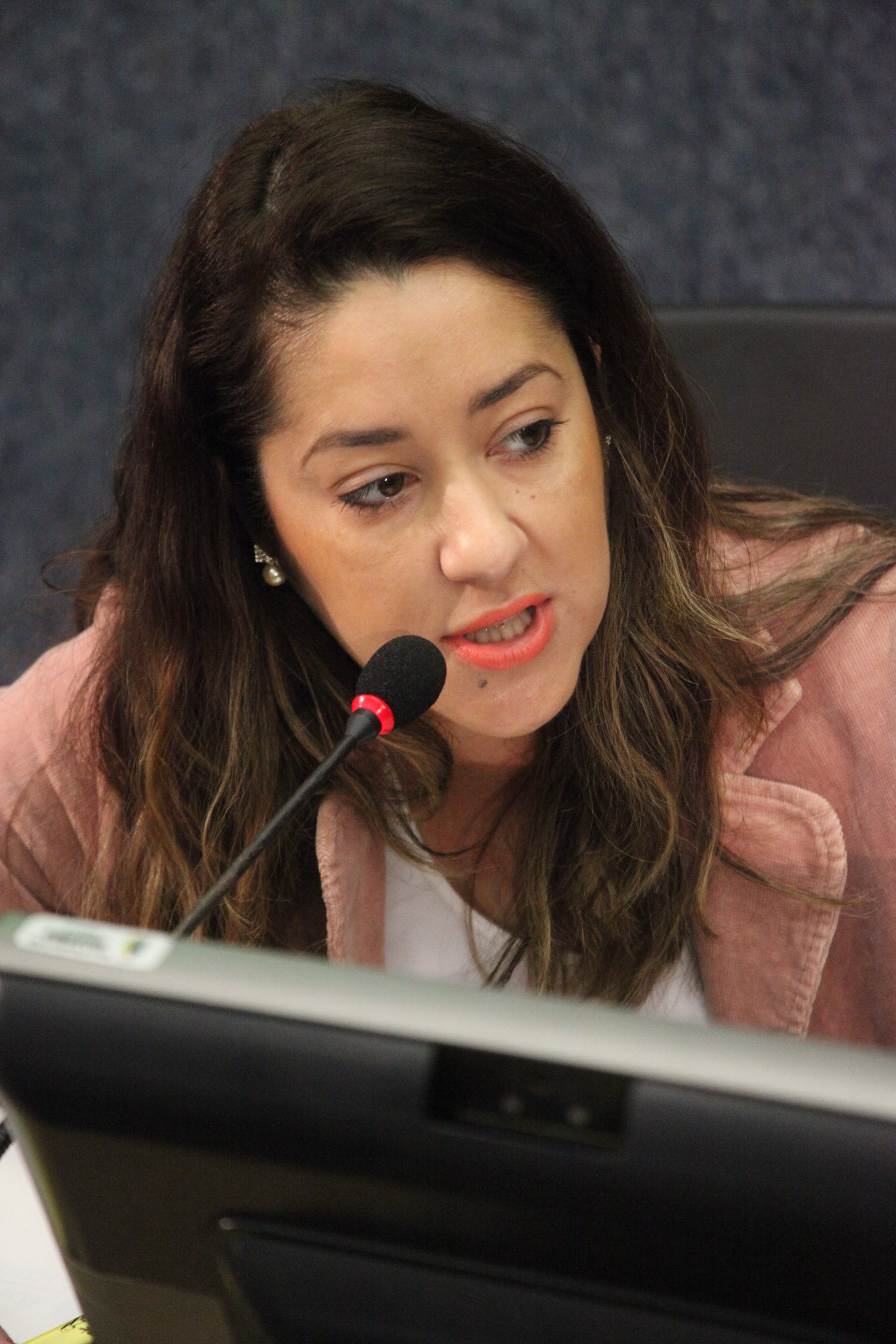 Comissão de Defesa dos Direitos da Criança e do Adolescente promove em Itajaí audiência pública com o tema 