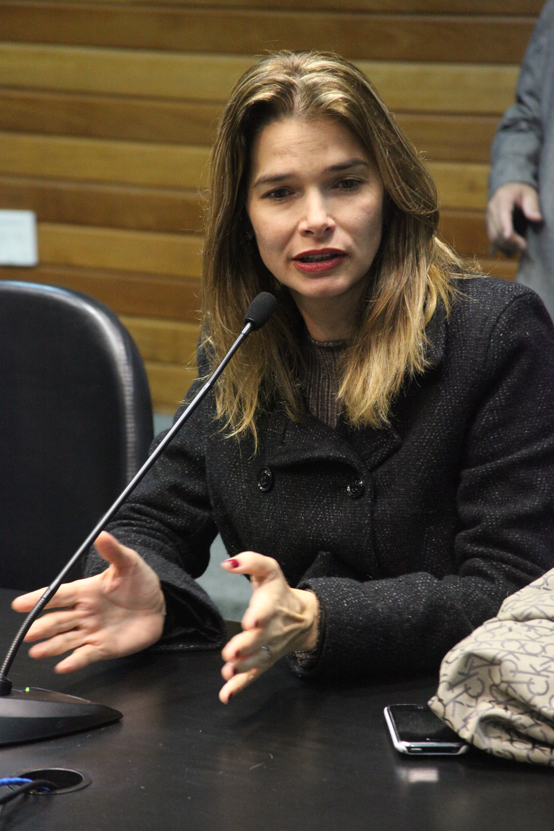 Reunião da Comissão de Constituição e Justiça. Foto: Fábio Queiroz
