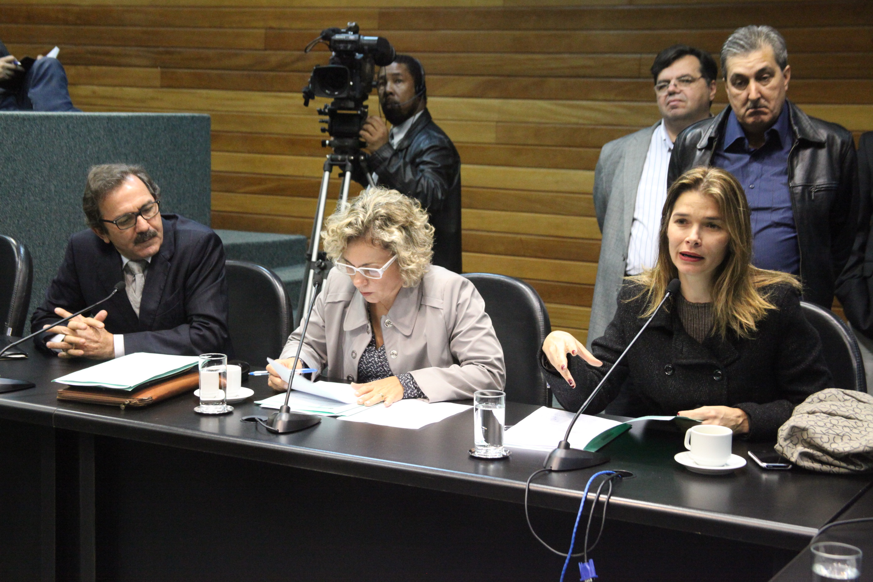 Reunião da Comissão de Constituição e Justiça. Foto: Fábio Queiroz