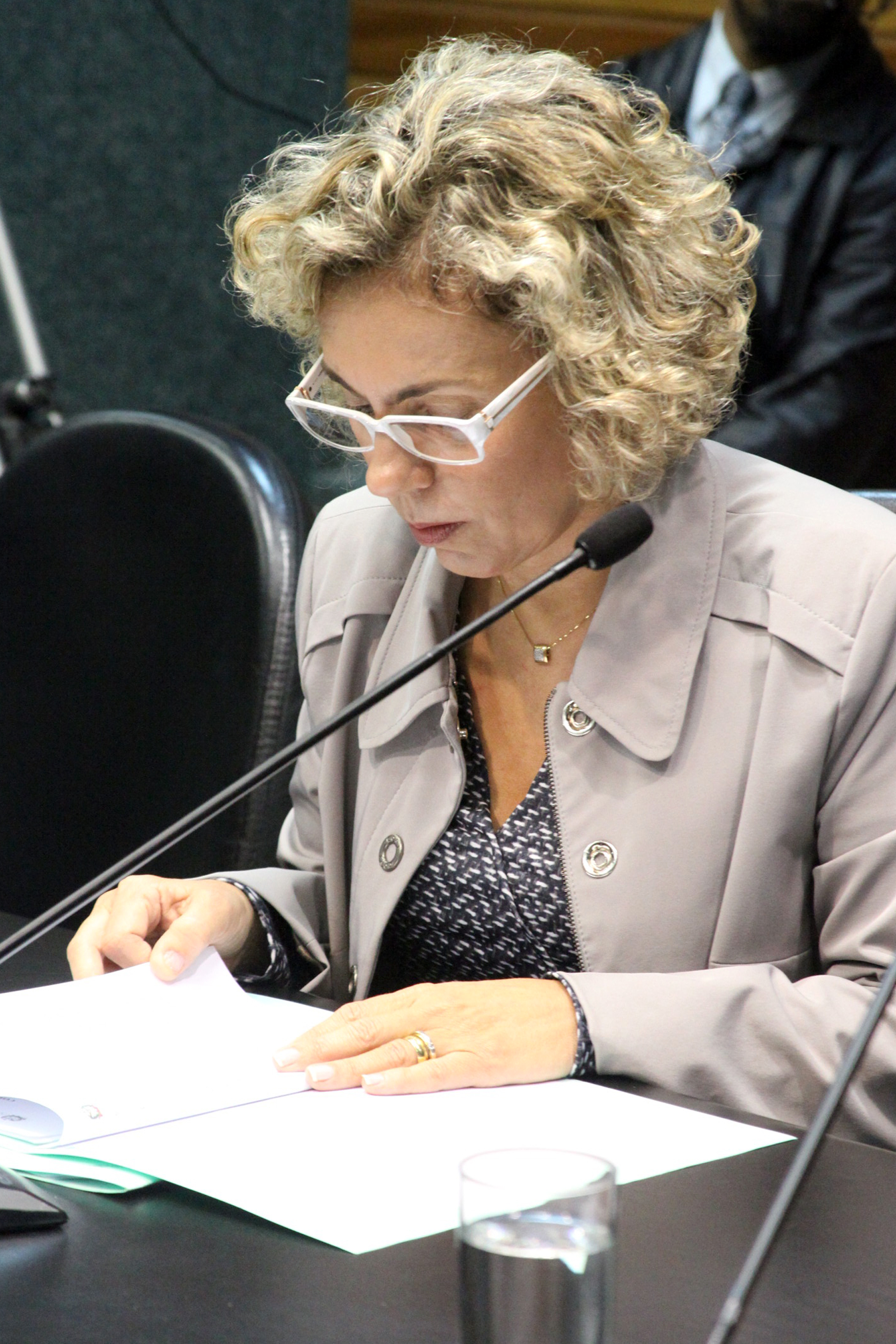 Reunião da Comissão de Constituição e Justiça. Foto: Fábio Queiroz