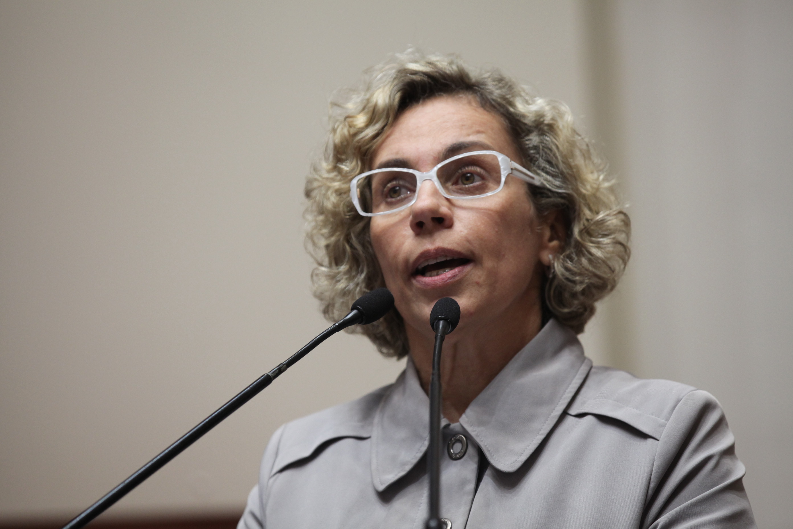 Sessão Ordinária - Plenário Osni Regis - Deputada Ana Paula Lima (PT)
