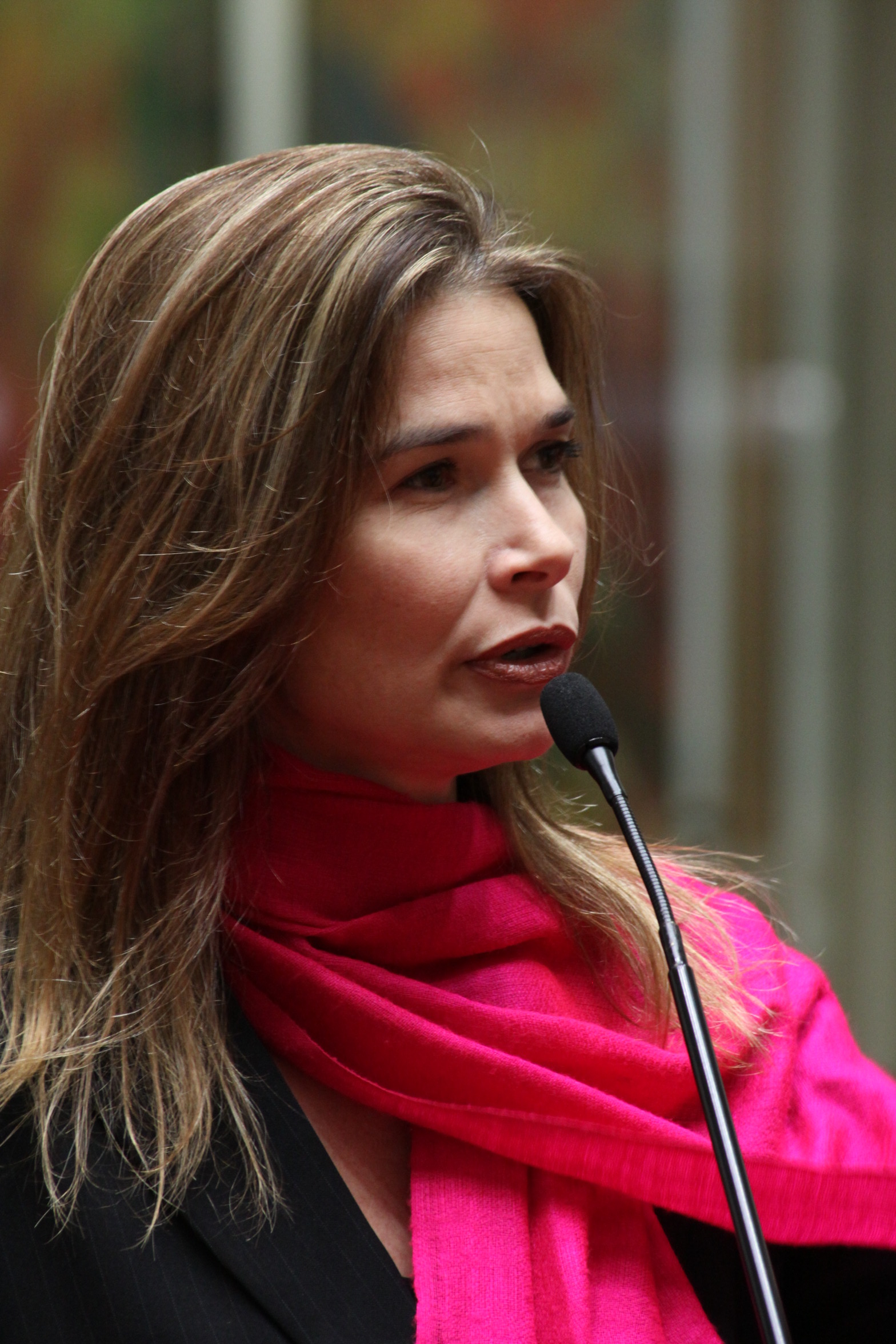 Dep. Angela Albino - Foto: Eduardo Guedes de Oliveira