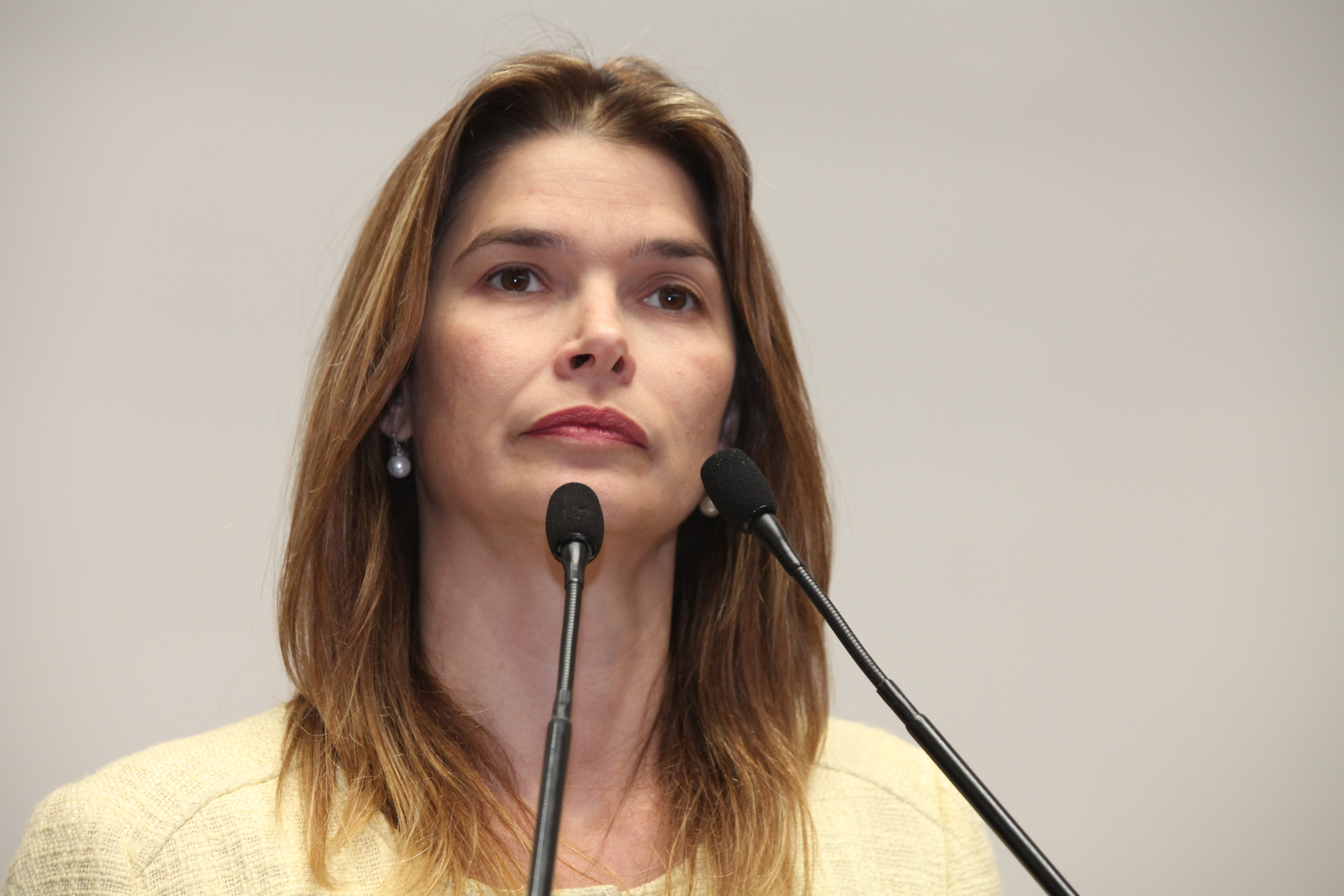 Sessão Ordinária - Plenário Osni Régis. Deputada Angela Albino (PCdoB)