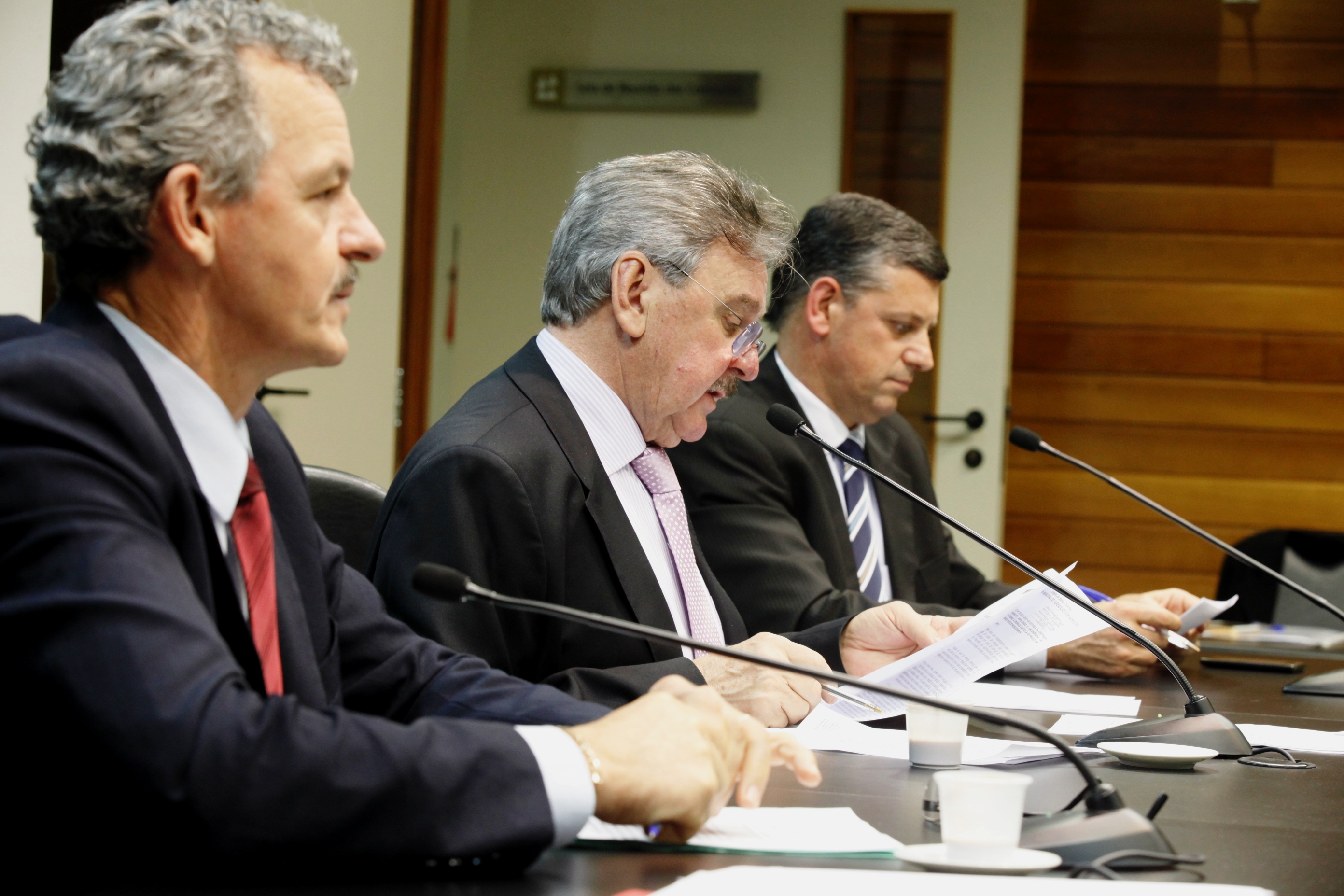 Reunião da Comissão de Agricultura  Foto Carlos Kilian/Agencia A