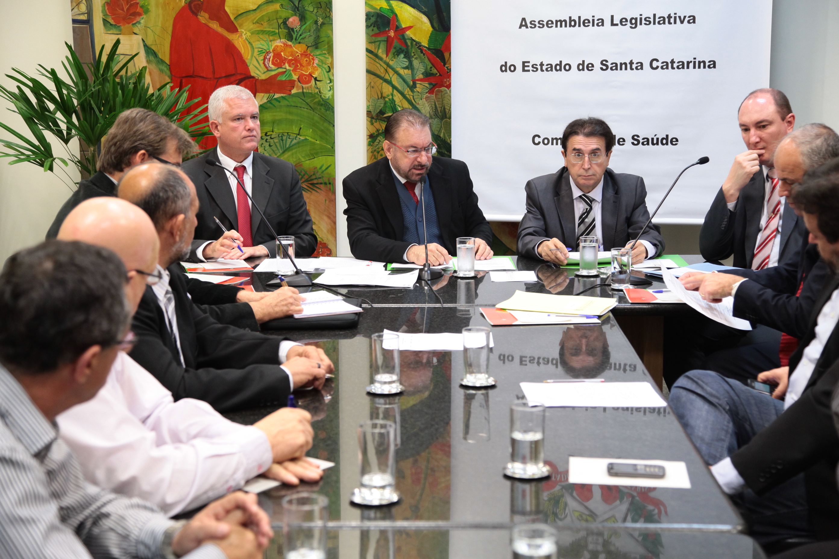 Reunião da Comissão de Saúde. Foto: Miriam Zomer