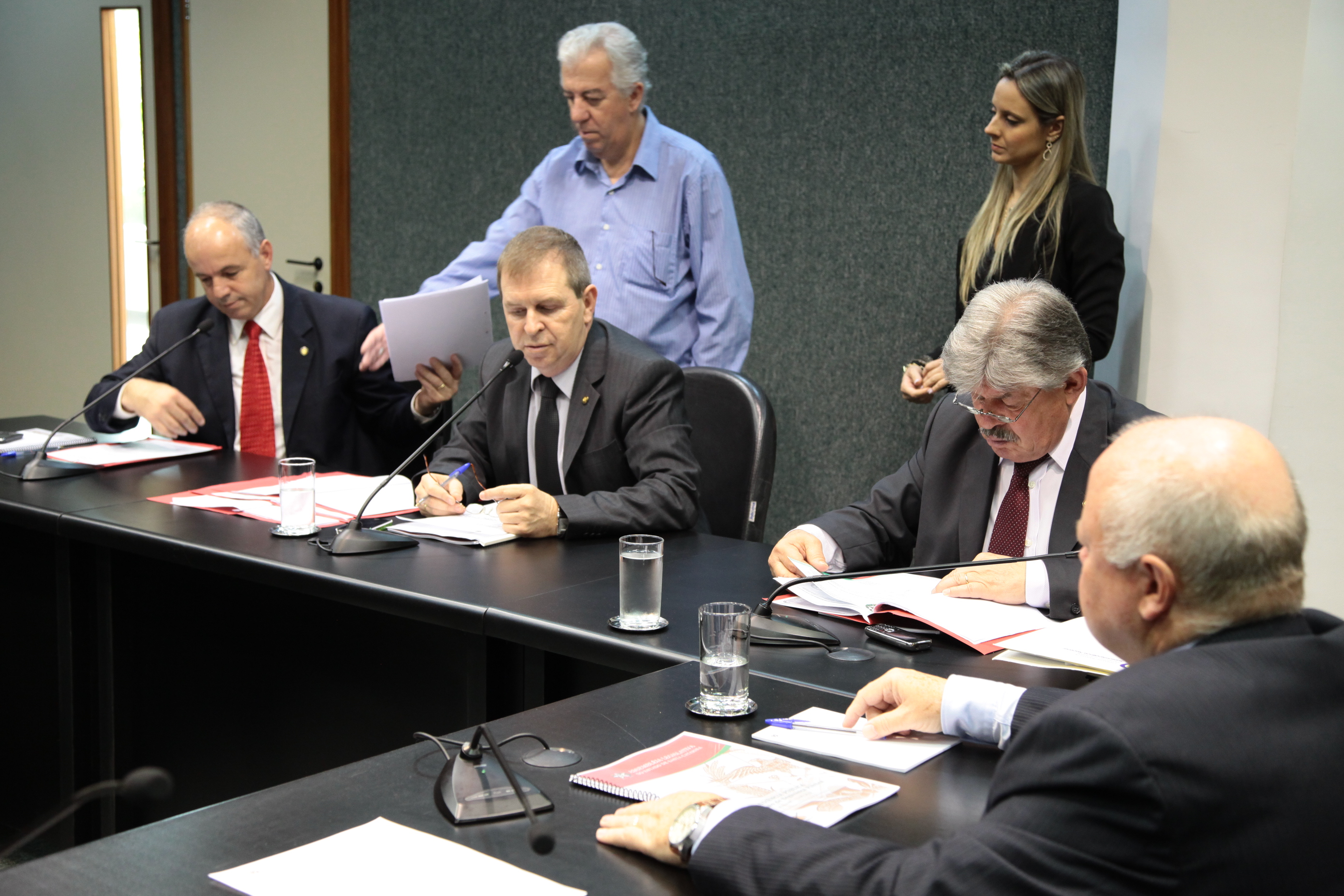 Comissão de Segurança Pública