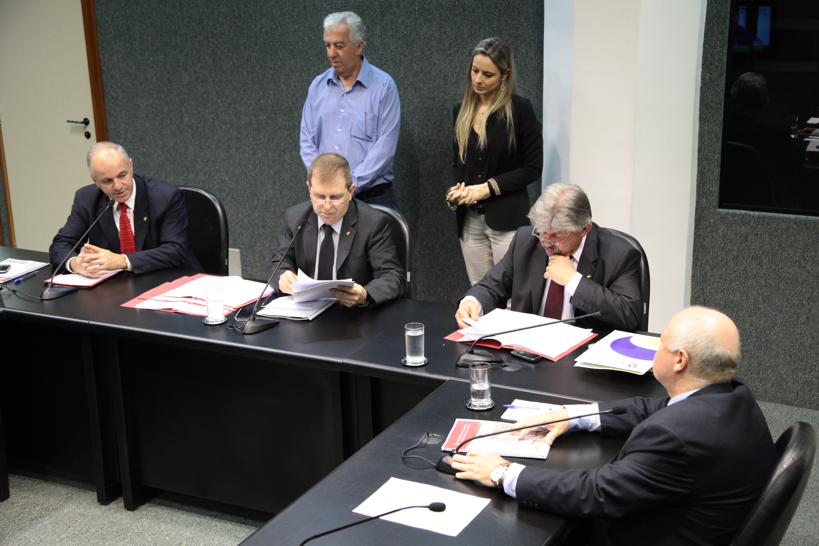 Reunião da Comissão de Segurança Pública. Foto: Miriam Zomer
