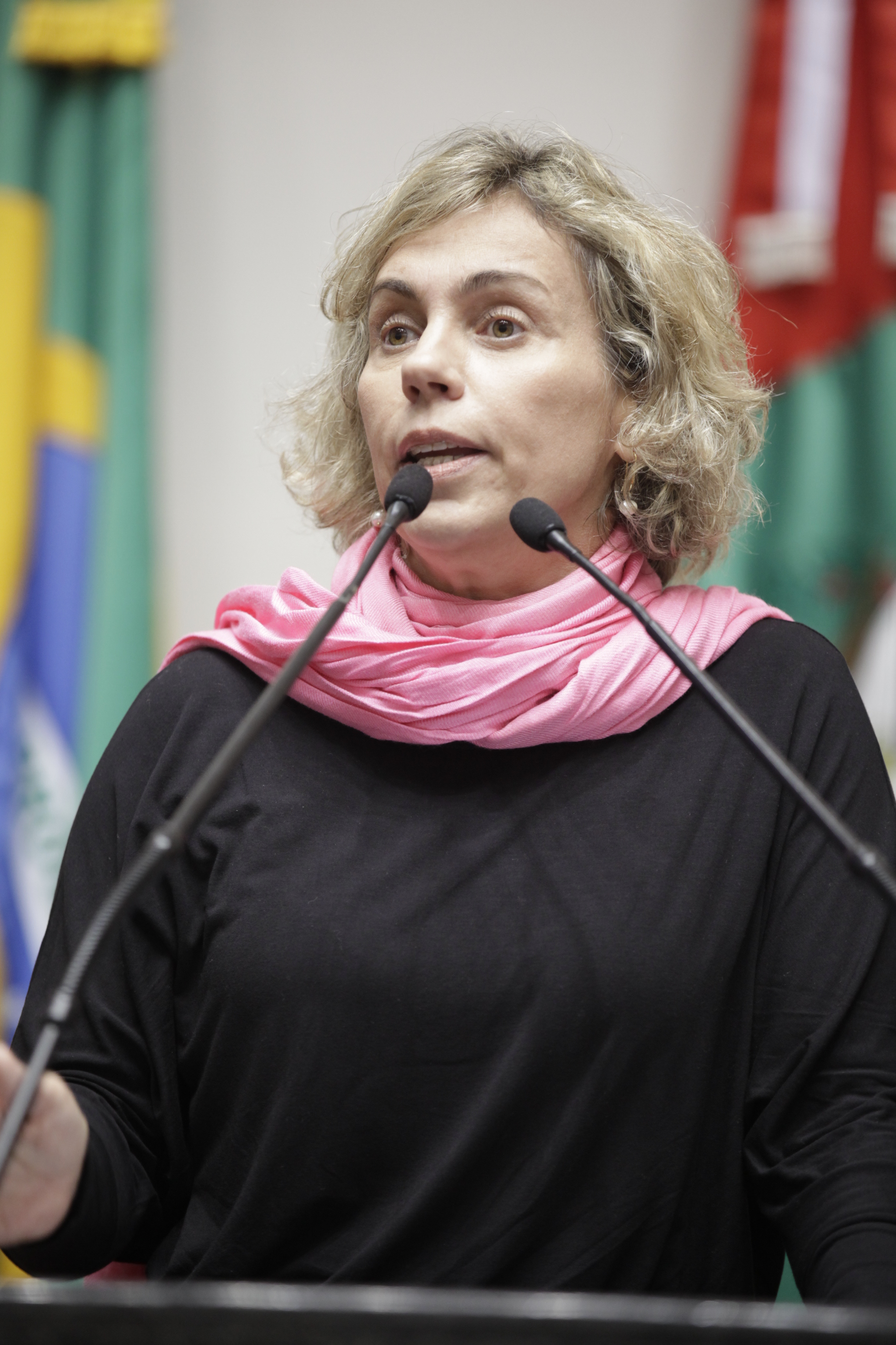 Sessão Ordinária - Plenário Osni Régis - Deputada Ana Paula Lima (PT)  - Foto: Carlos Kilian