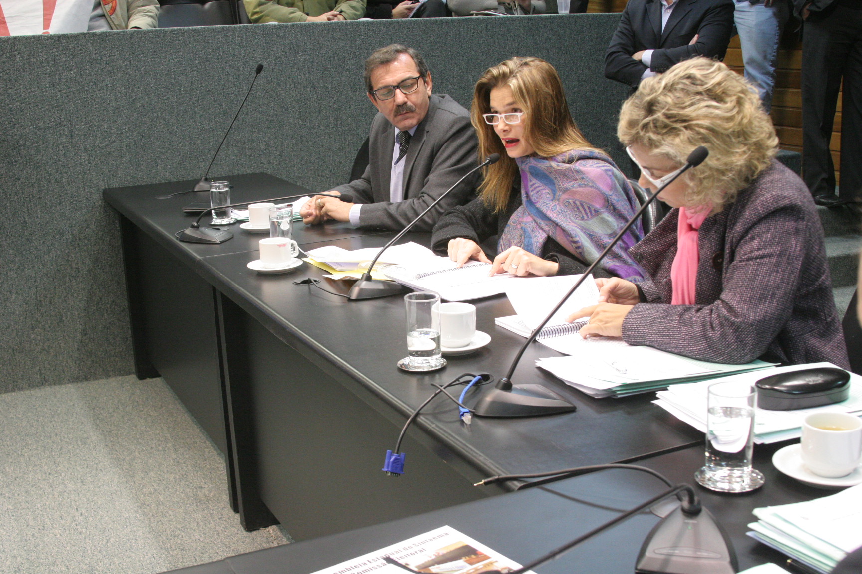 Comissão de Constituição e Justiça. Foto: Eduardo Guedes de Oliveira