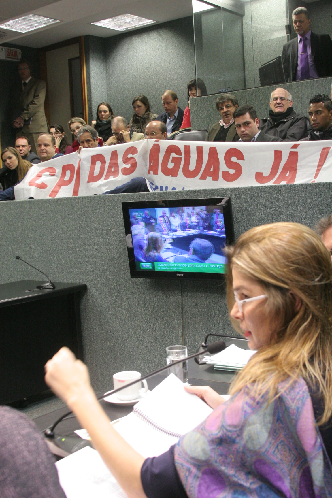 Comissão de Constituição e Justiça. Foto: Eduardo Guedes de Oliveira