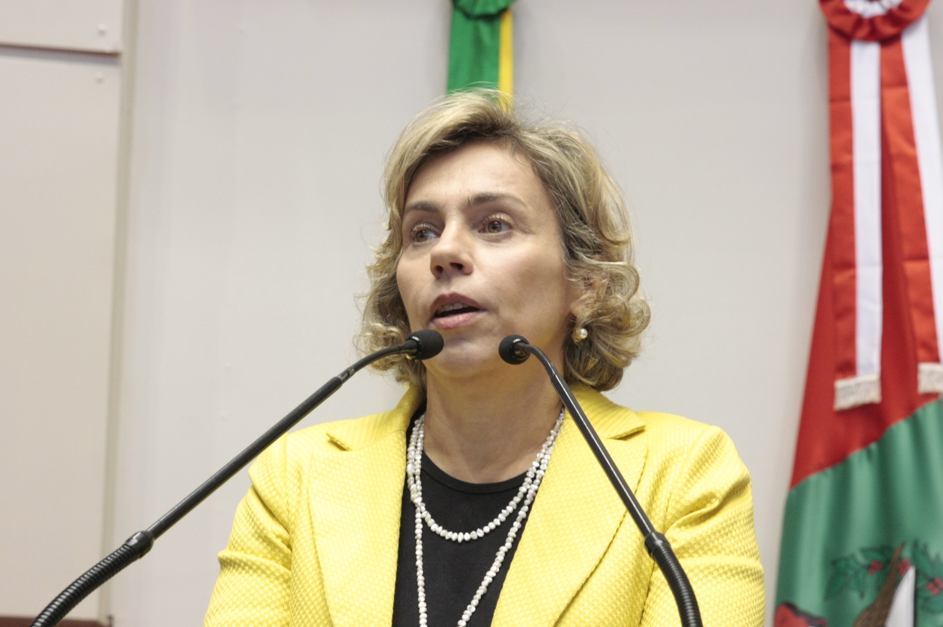 Dep. Ana Paula Lima. Sessão Ordinária - Plenário Deputado Osni Régis. Foto: Eduardo Guedes de Oliveira.