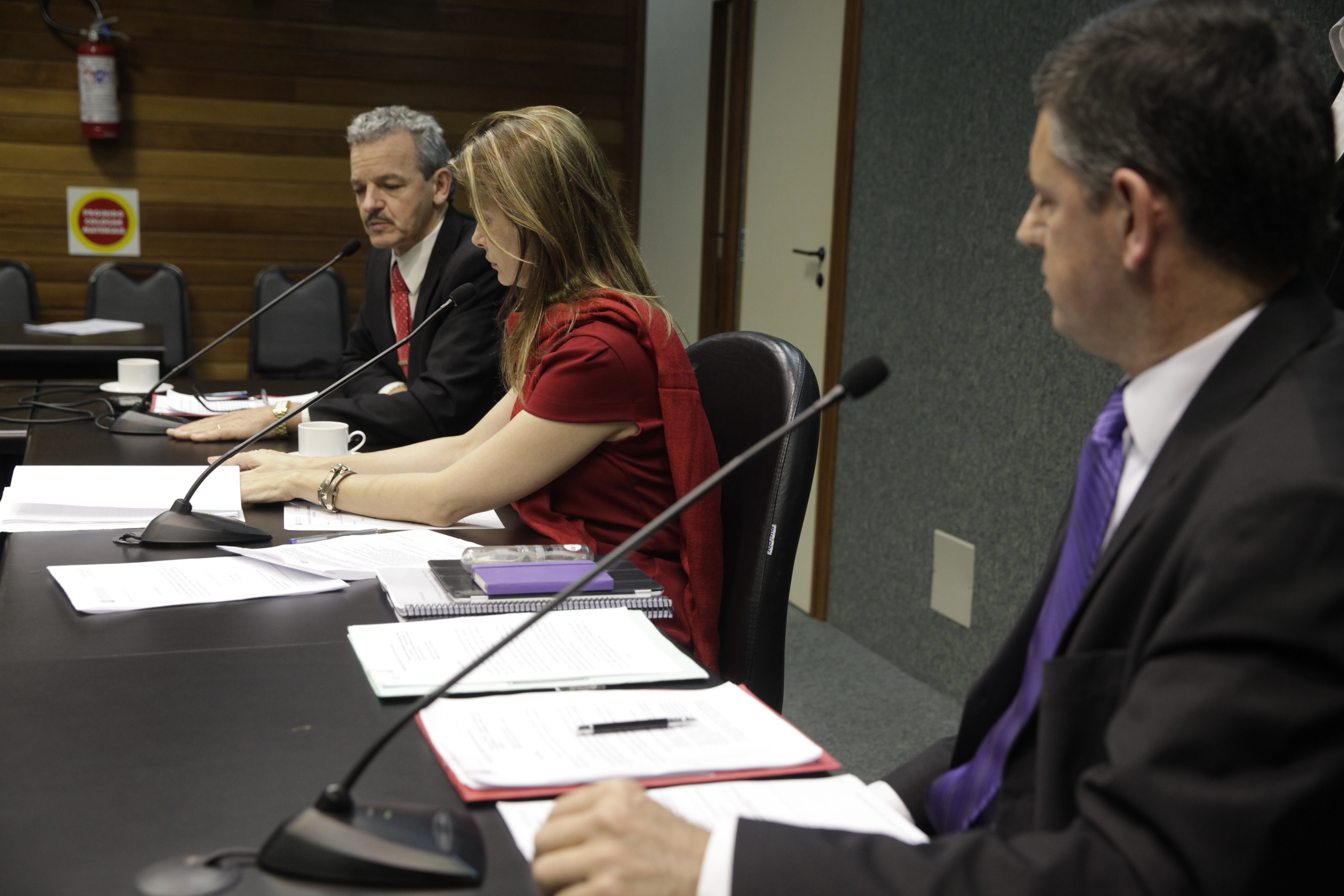 Reunião da Comissão de Economia. Foto: Carlos Kilian