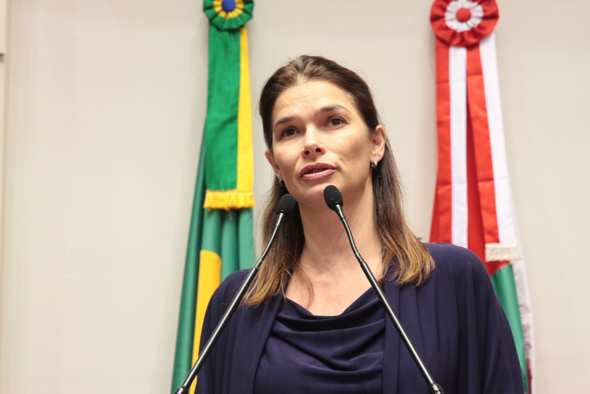 Comissão promoverá cinco audiências sobre Conselho da Juventude