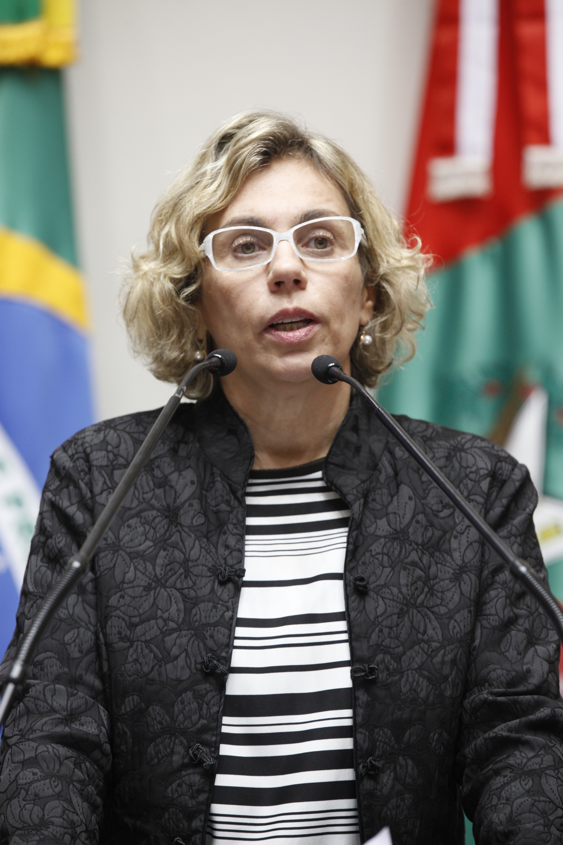 Sessão Ordinária - Plenário Osni Régis. Foto: Carlos Kilian