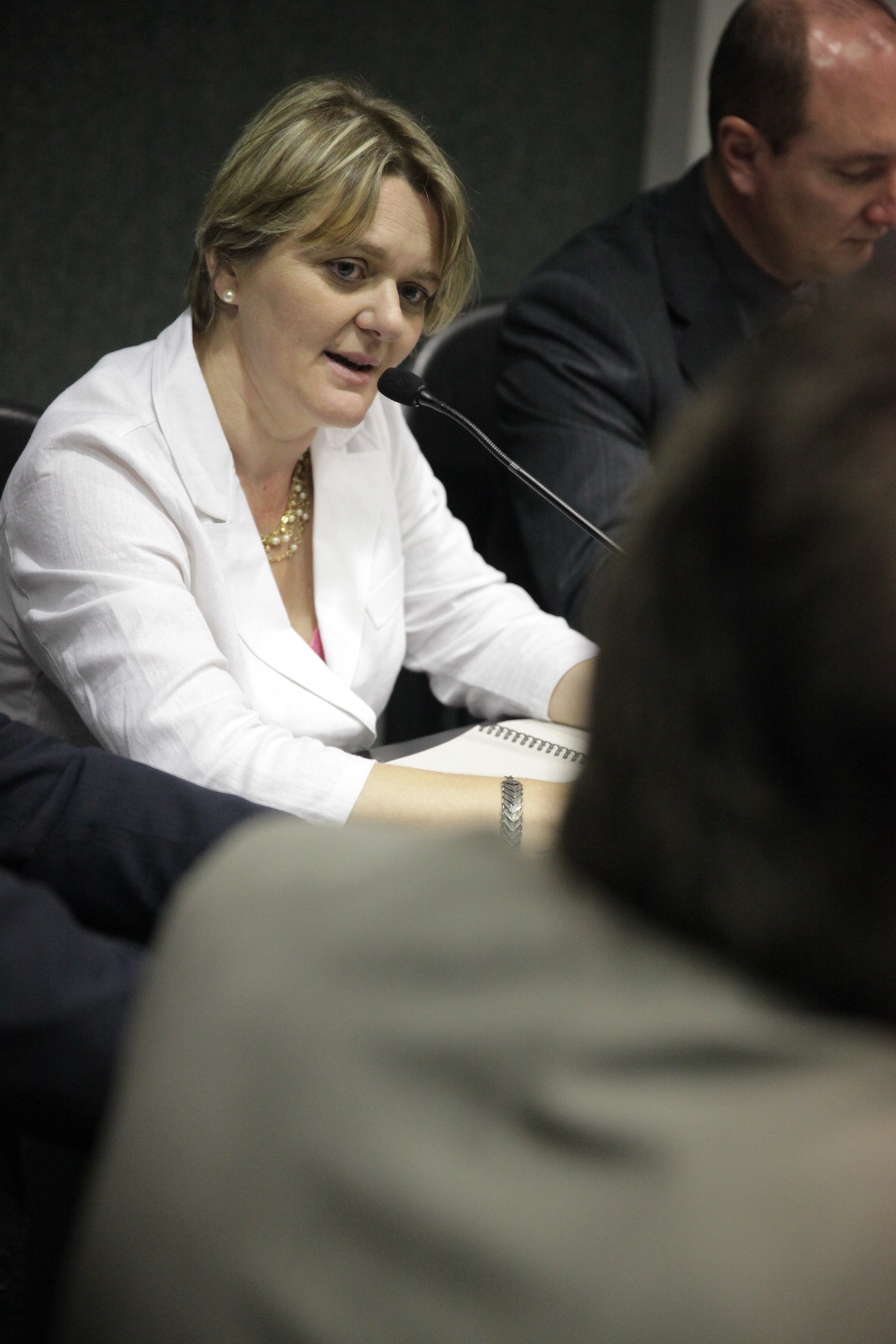 Audiência pública sobre a expansão e consolidação do campus da Universidade Estadual em Palmitos - Deputada Luciane Carminatti (PT) -  Foto: Lucas Gabriel Diniz/AgênciaAL