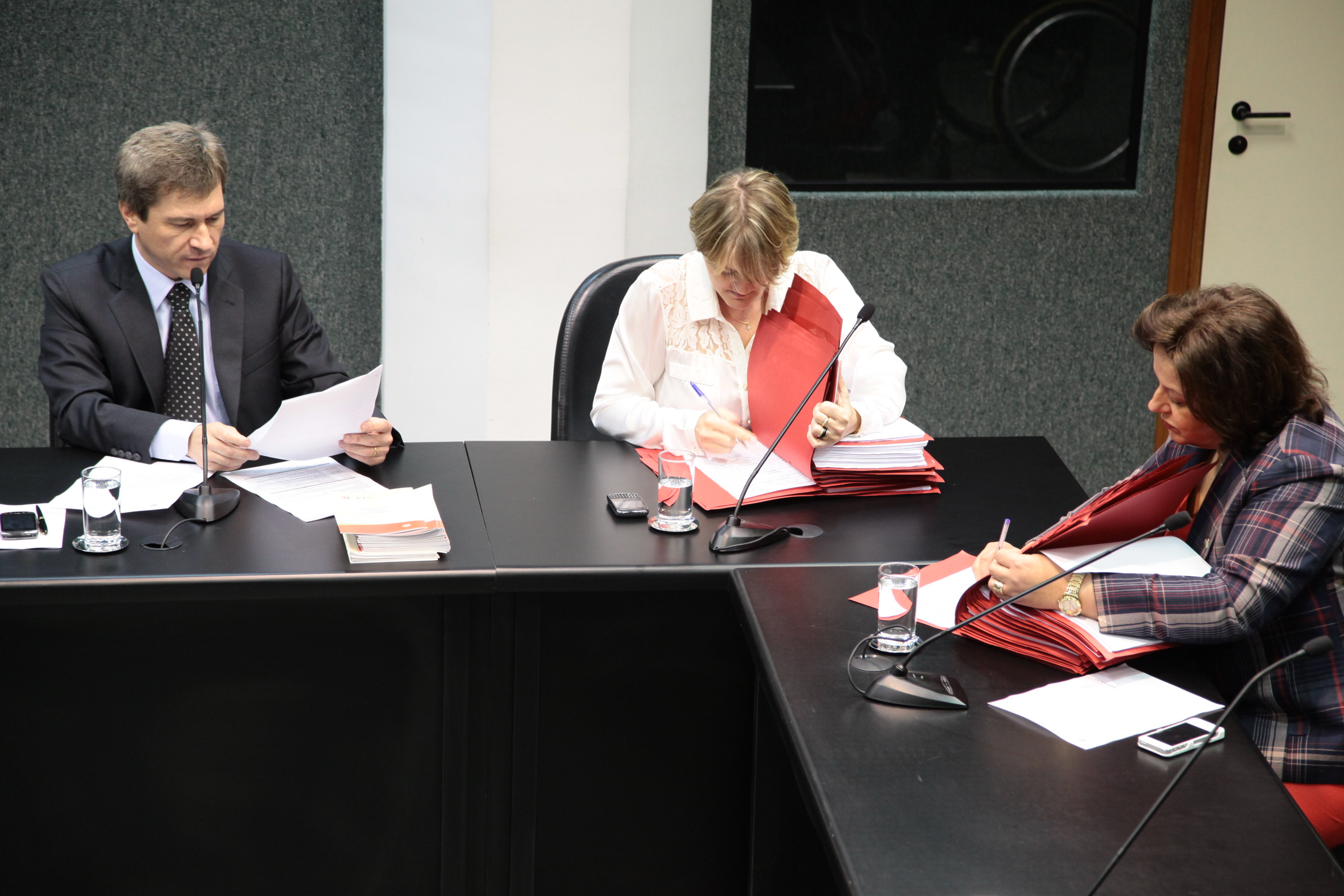 Reunião da Comissão de Defesa dos Direitos da Pessoa com Deficiência. Foto: Miriam Zomer/ Agência AL.